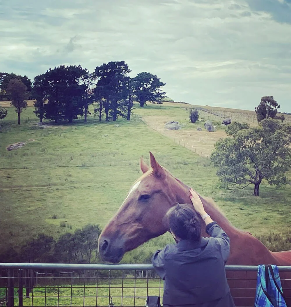 What is Trauma?: It’s not what you think