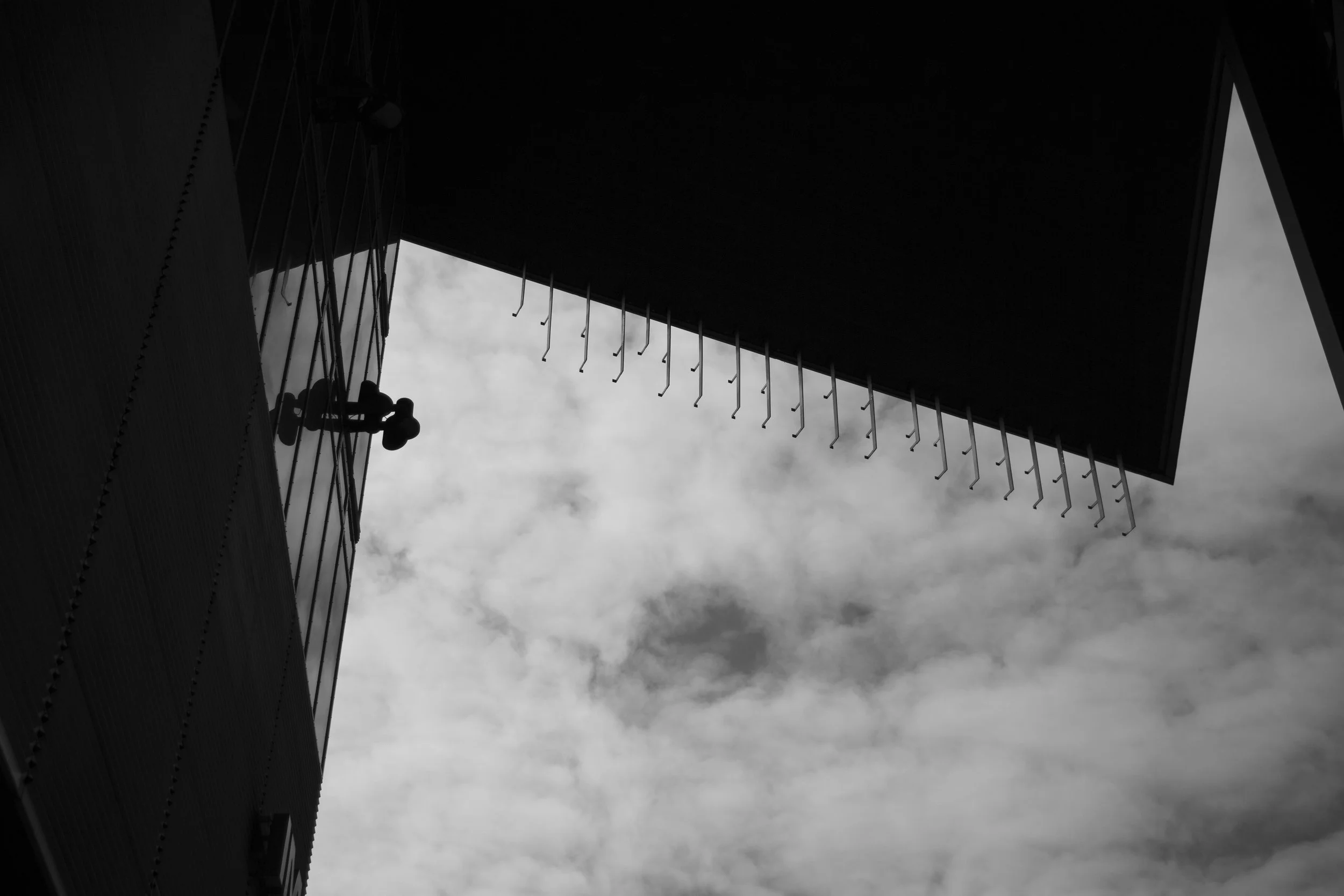 2_D__9036.jpg