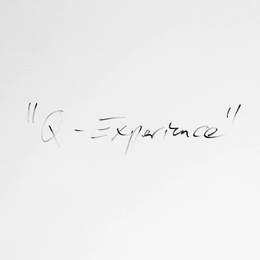 "Q Experience"