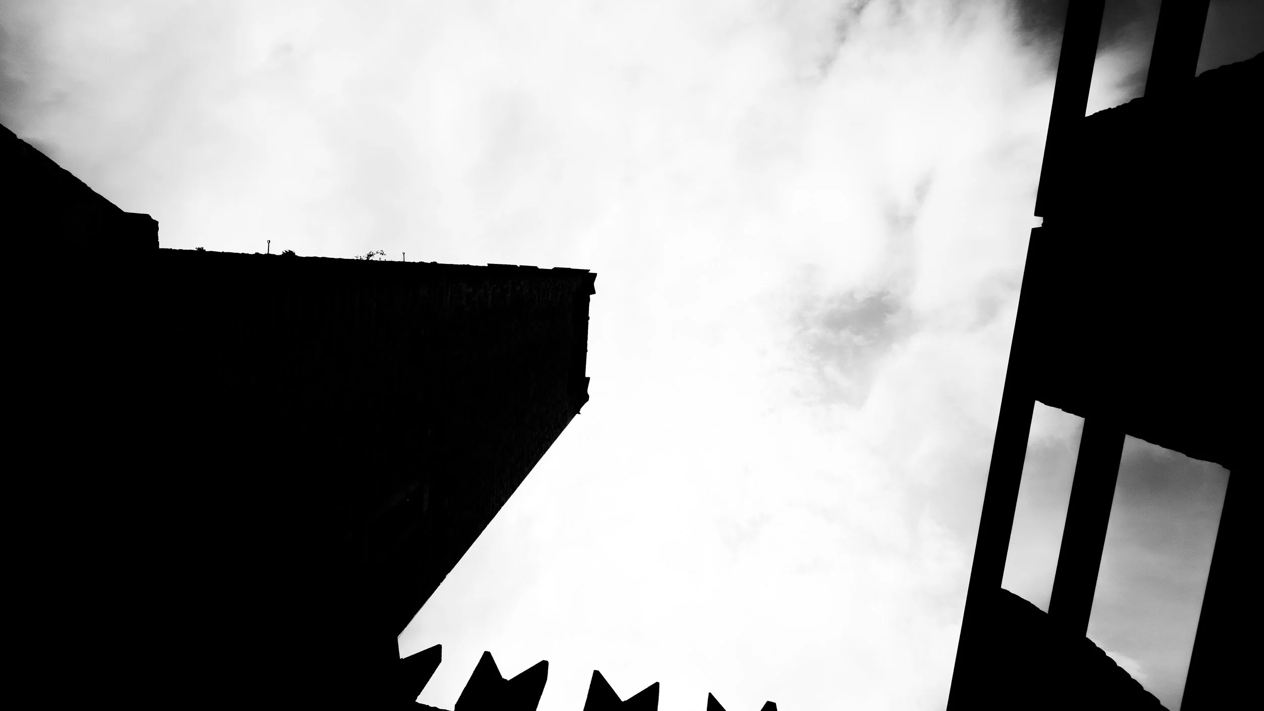 _04F5517 2.jpg