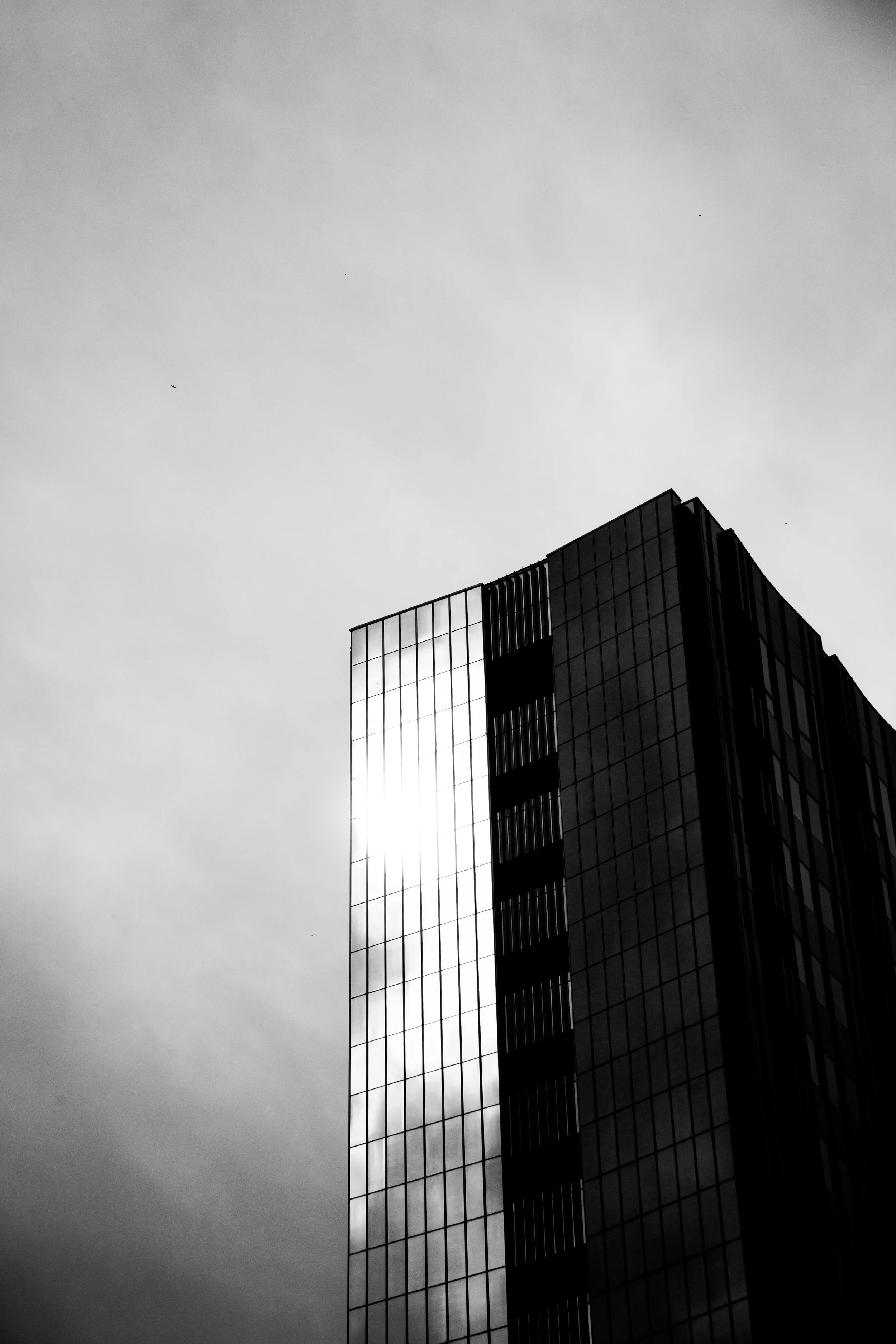 1_07_3197 v3.jpg