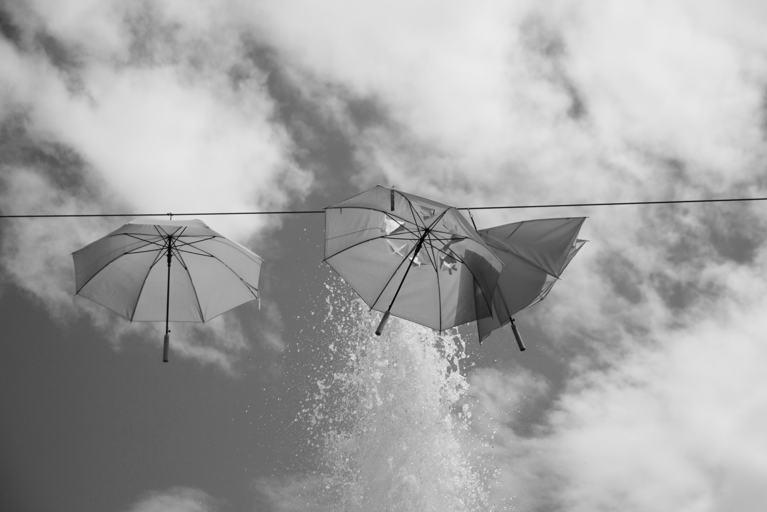 2_D__7303 bw.jpg