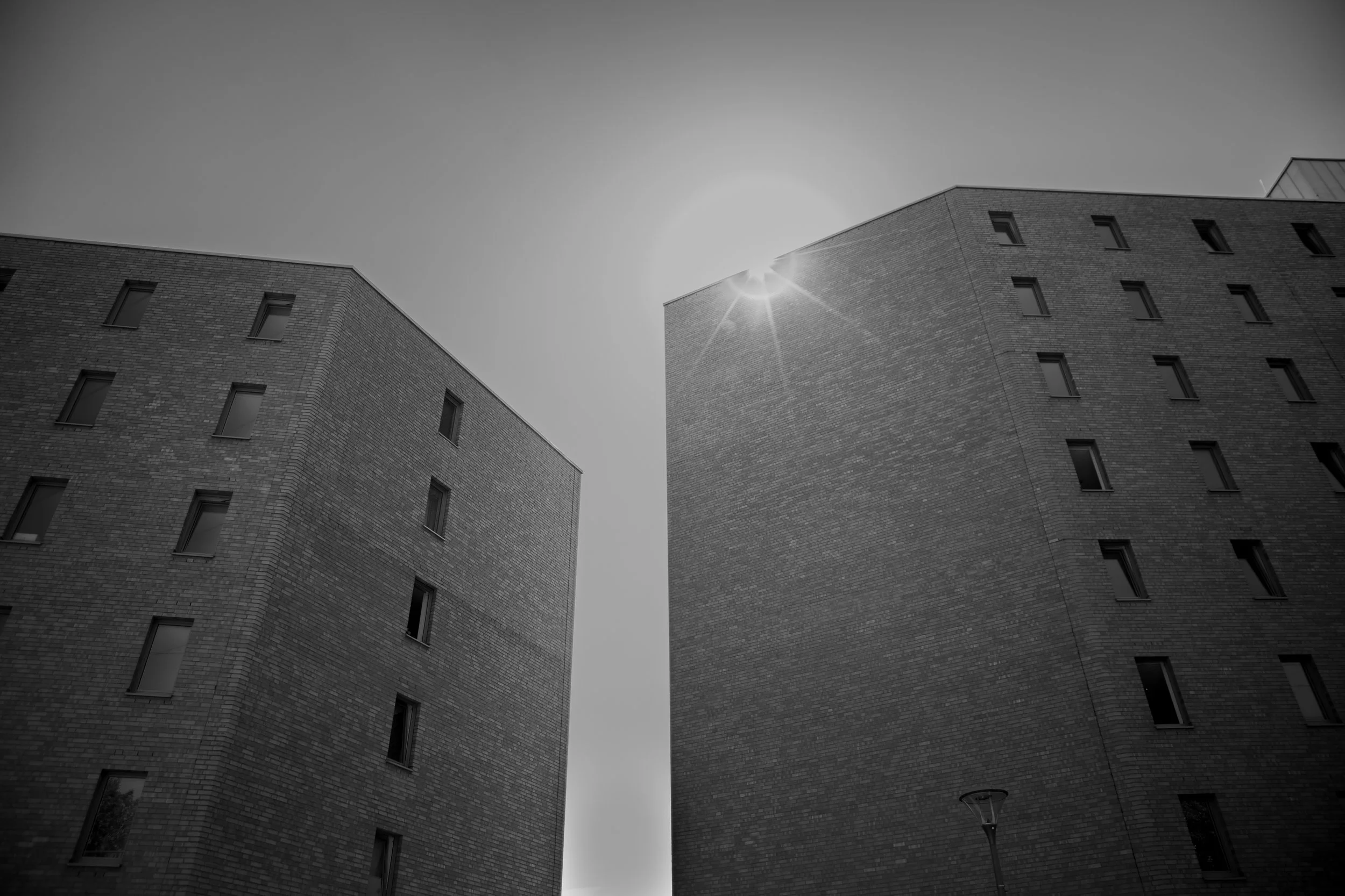 1_D__0563.jpg