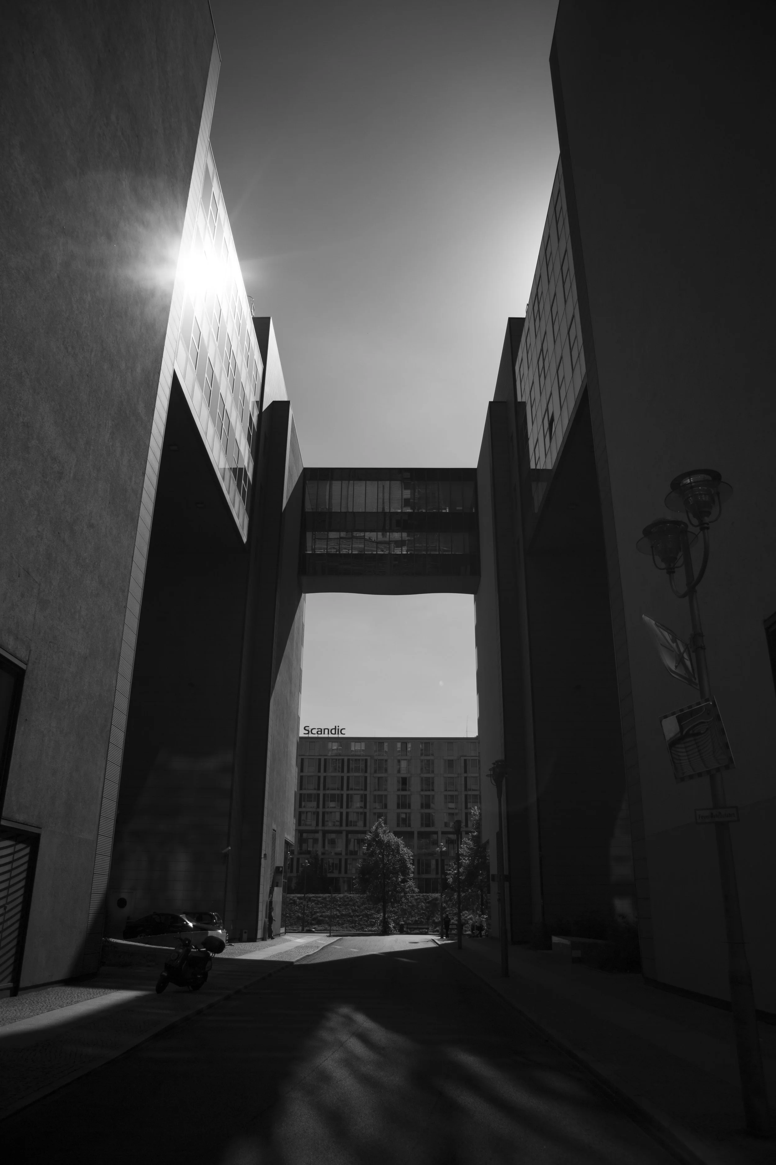 3_D__9361.jpg