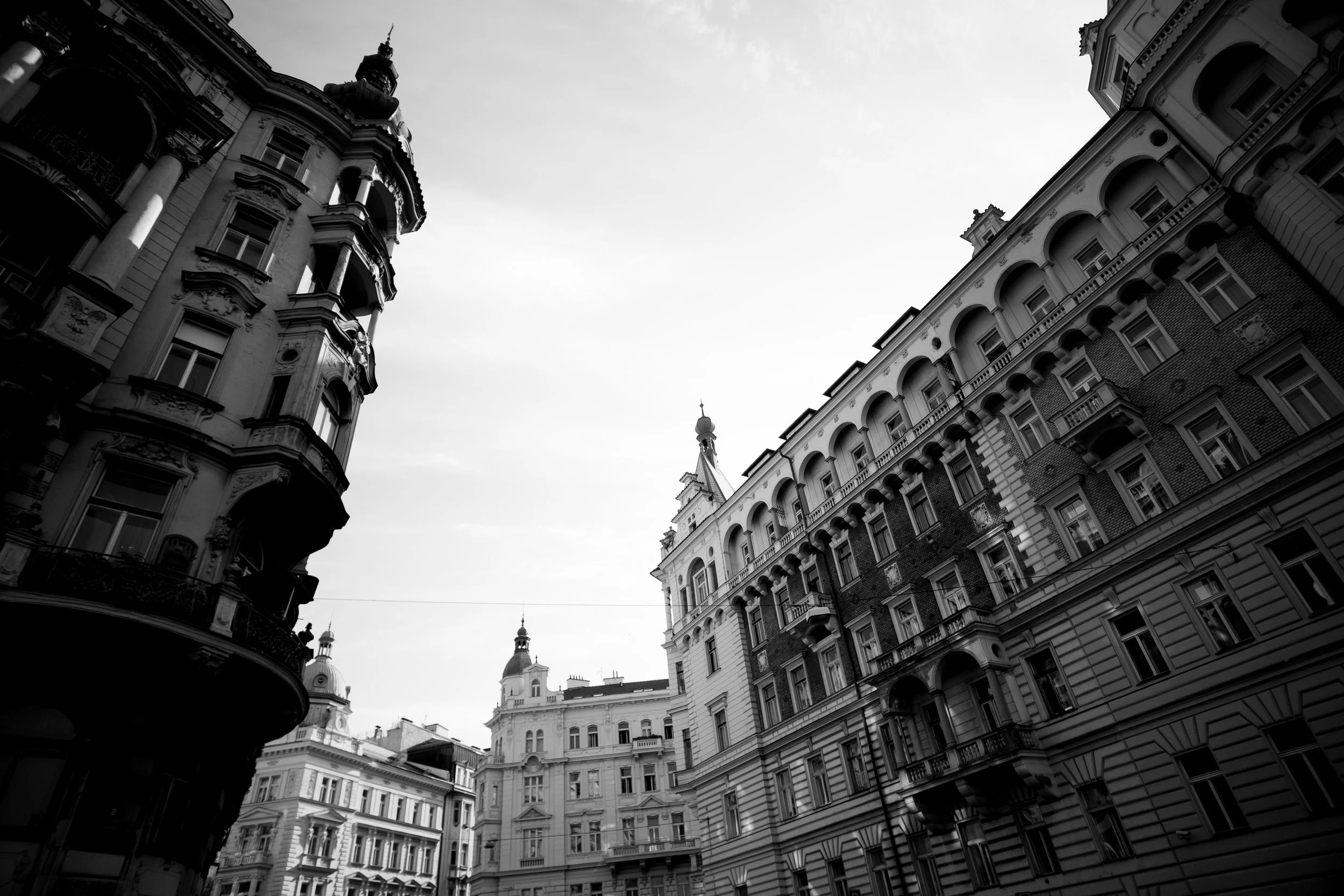 1_03F7899.jpg