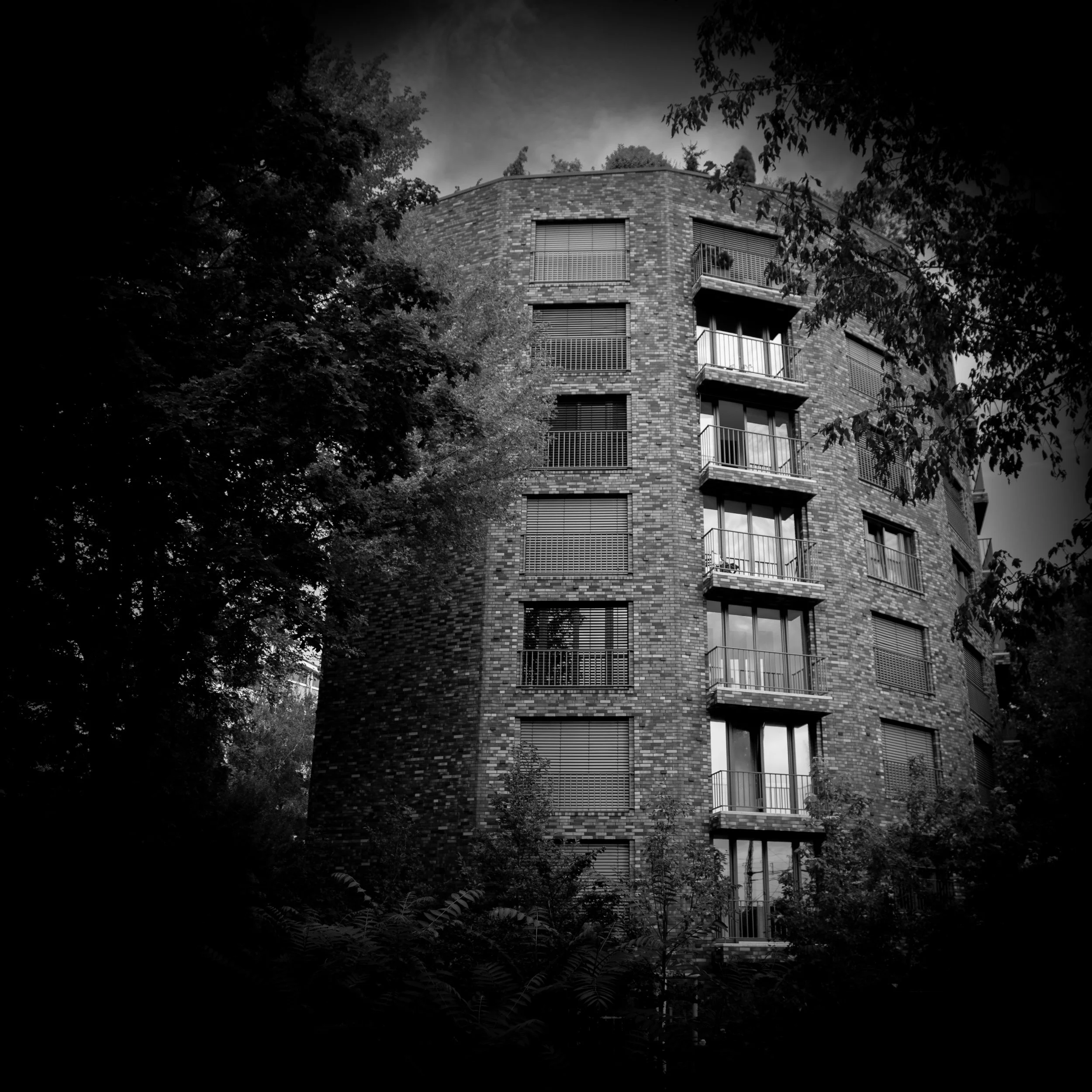 1_D__0307 bw.jpg