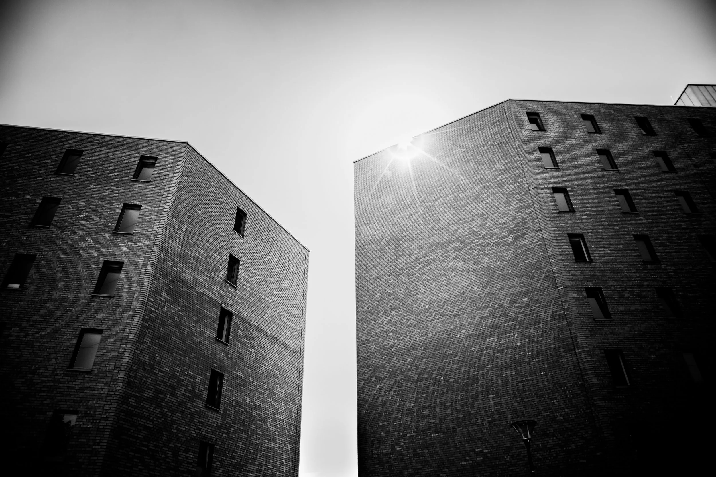 1_D__0563 v2.jpg