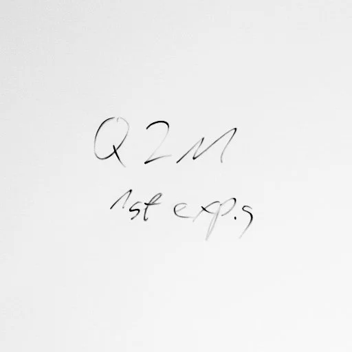 My First Experiences with the Q2 Monochrom