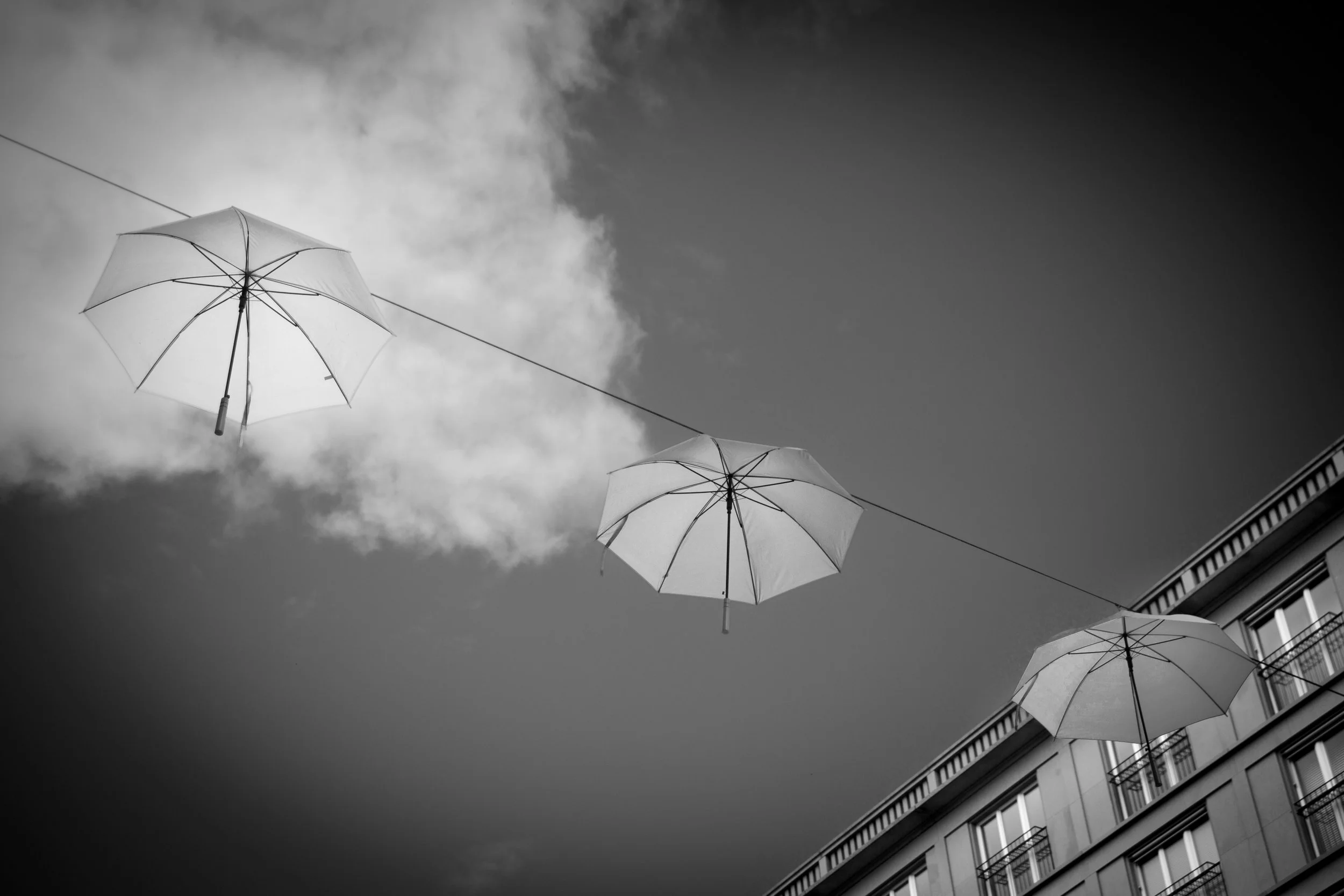 1_D__7466 bw.jpg