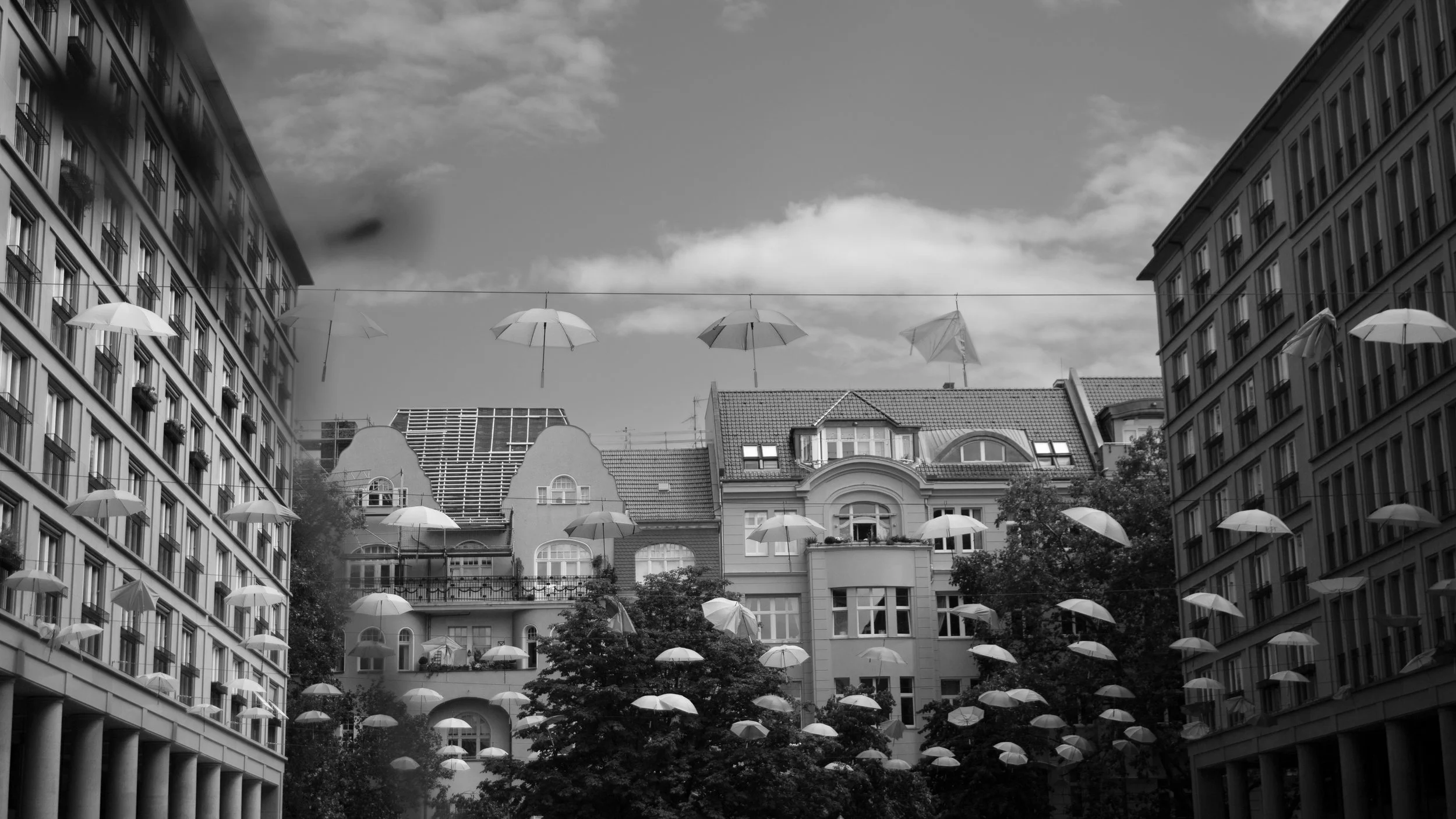 1_D__7350 bw.jpg