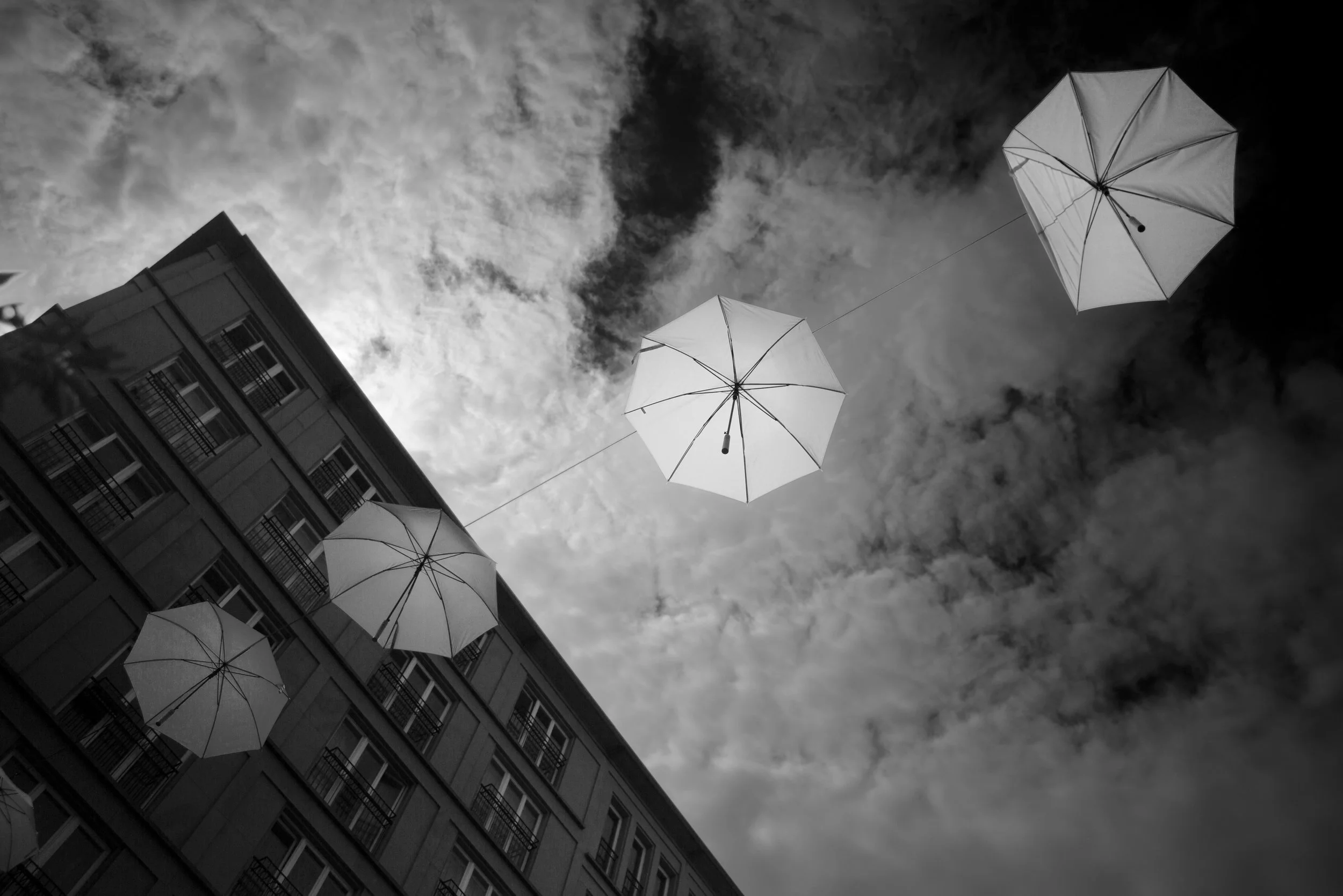1_D__7428 bw.jpg