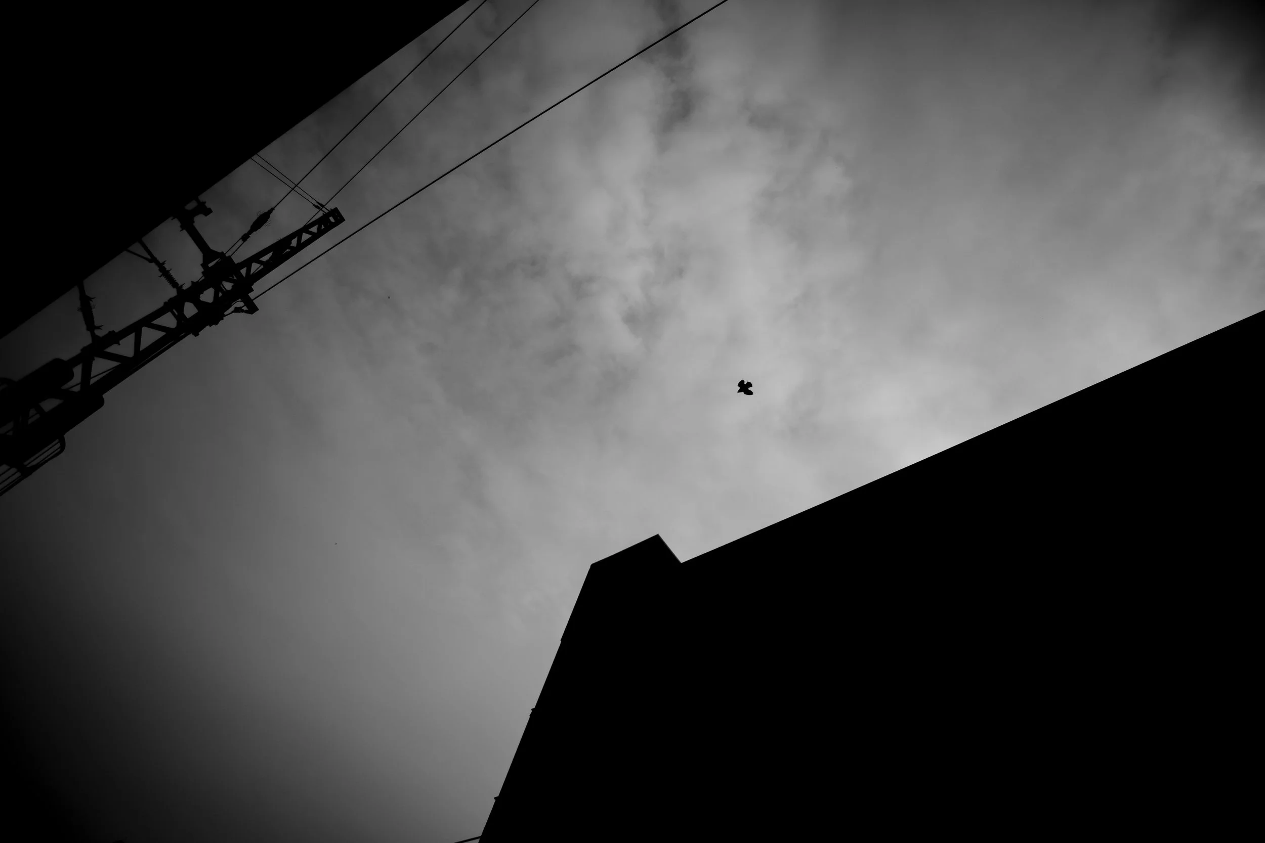 Black and white photo of a cloudy sky with a bird flying, a communication tower, and parts of buildings in silhouette.