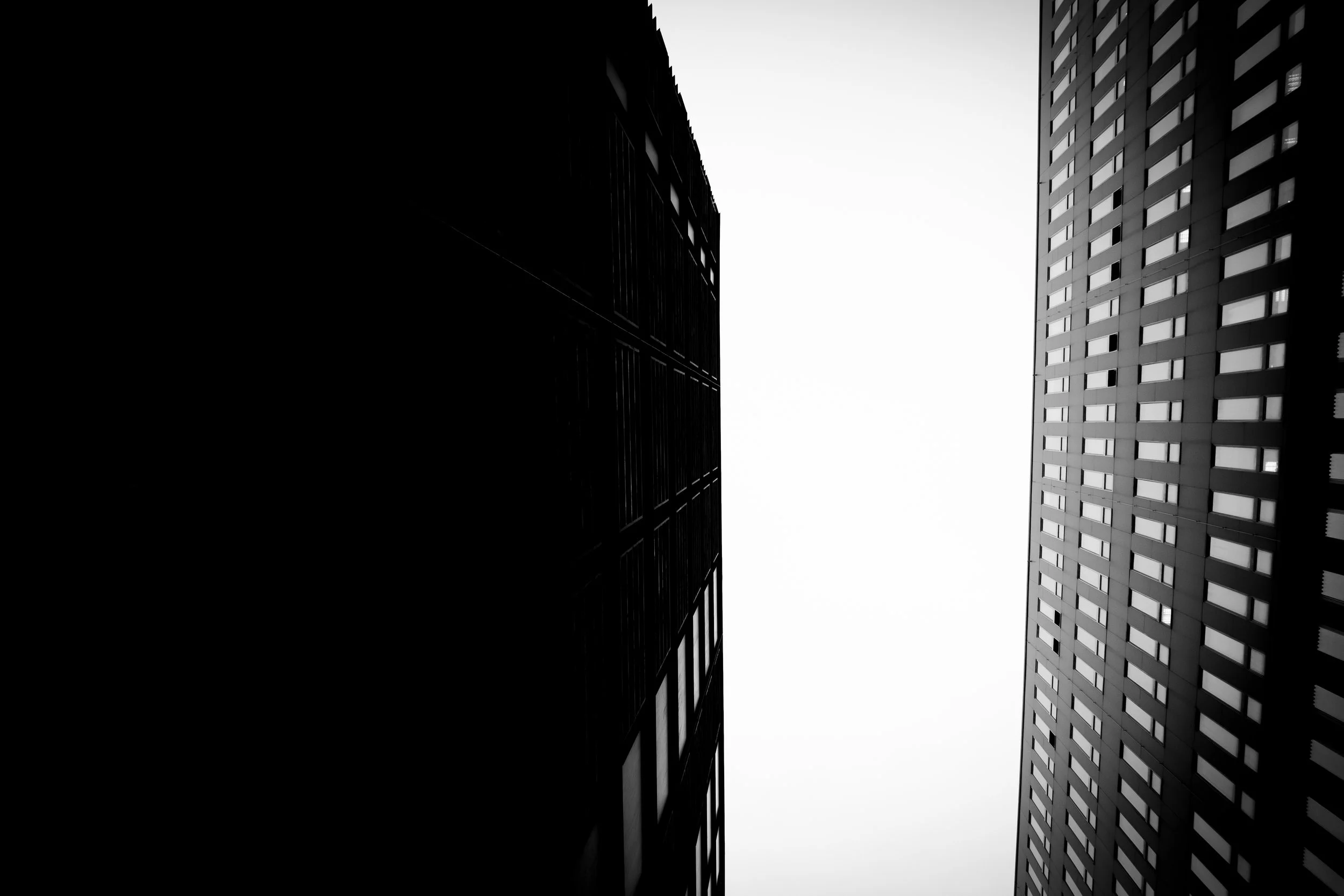 _04F4680.jpg