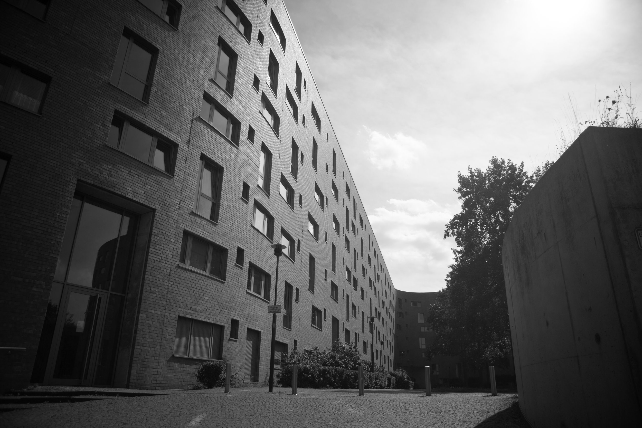 1_D__1411 bw.jpg