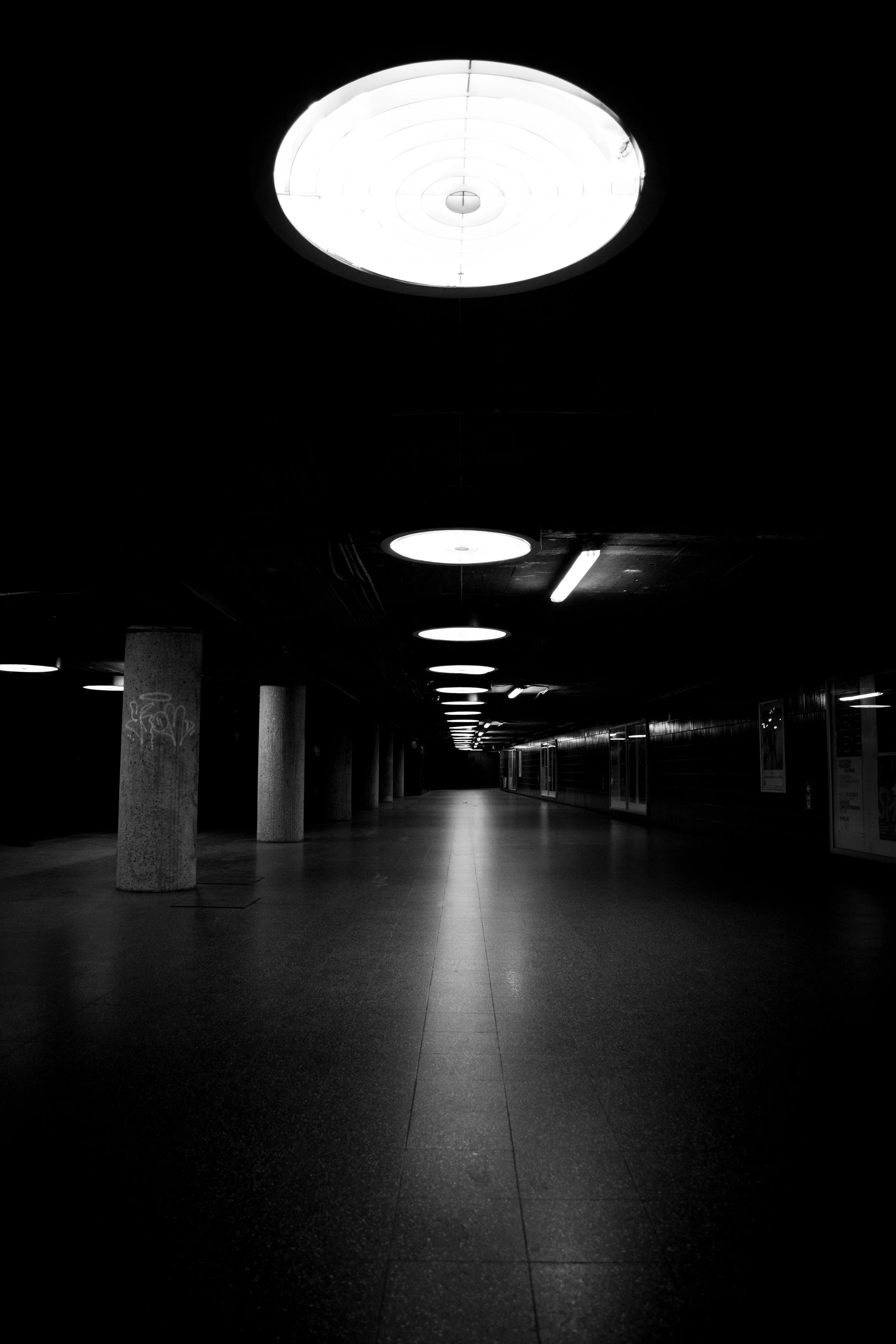 1_02_6703.jpg