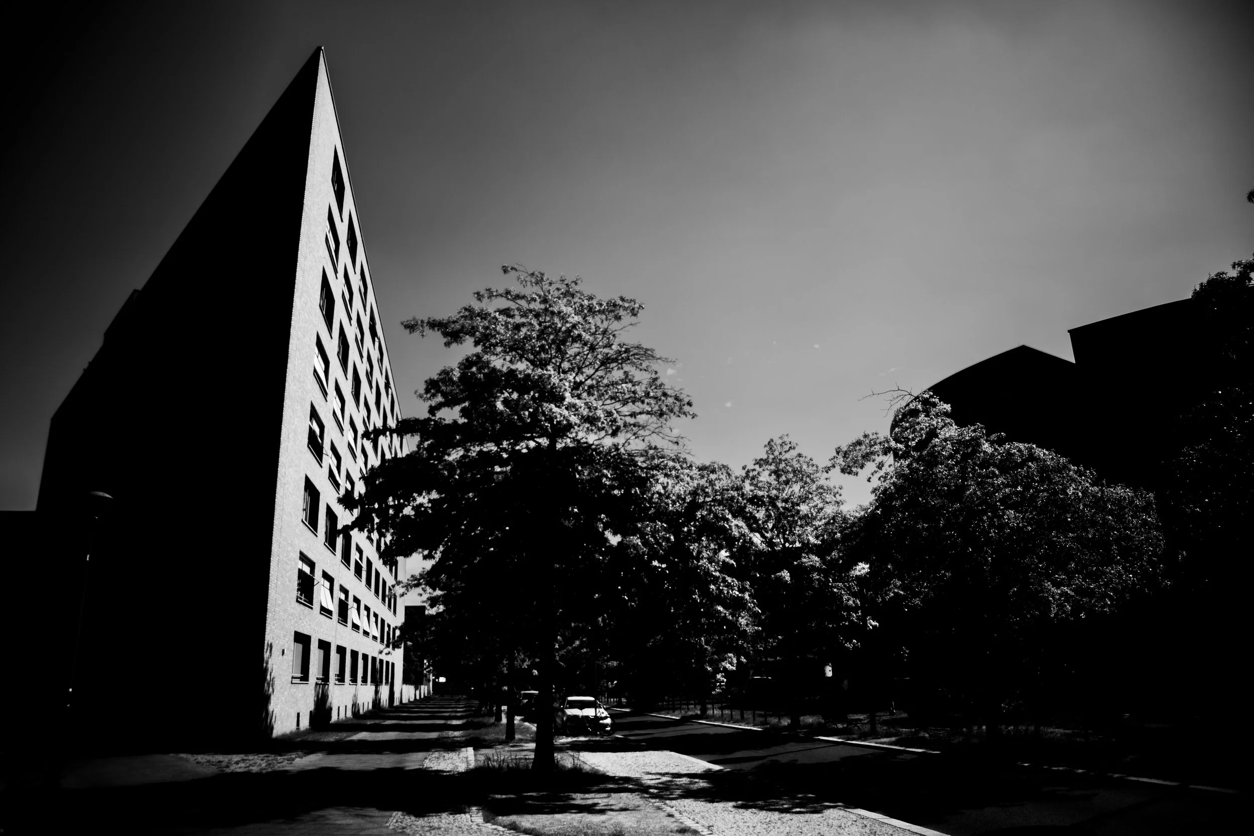 1_D__0462.jpg
