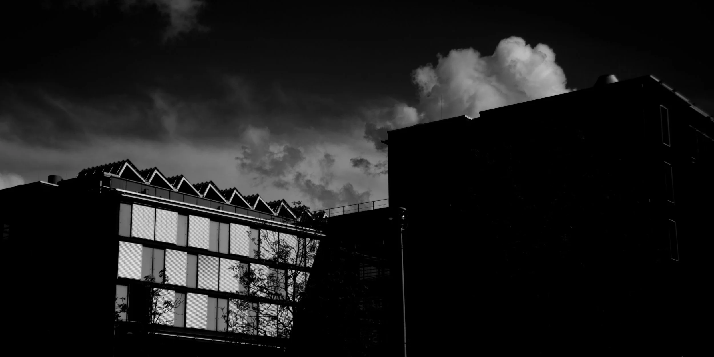 Silhouettes of modern buildings under cloudy sky at dusk in black and white
