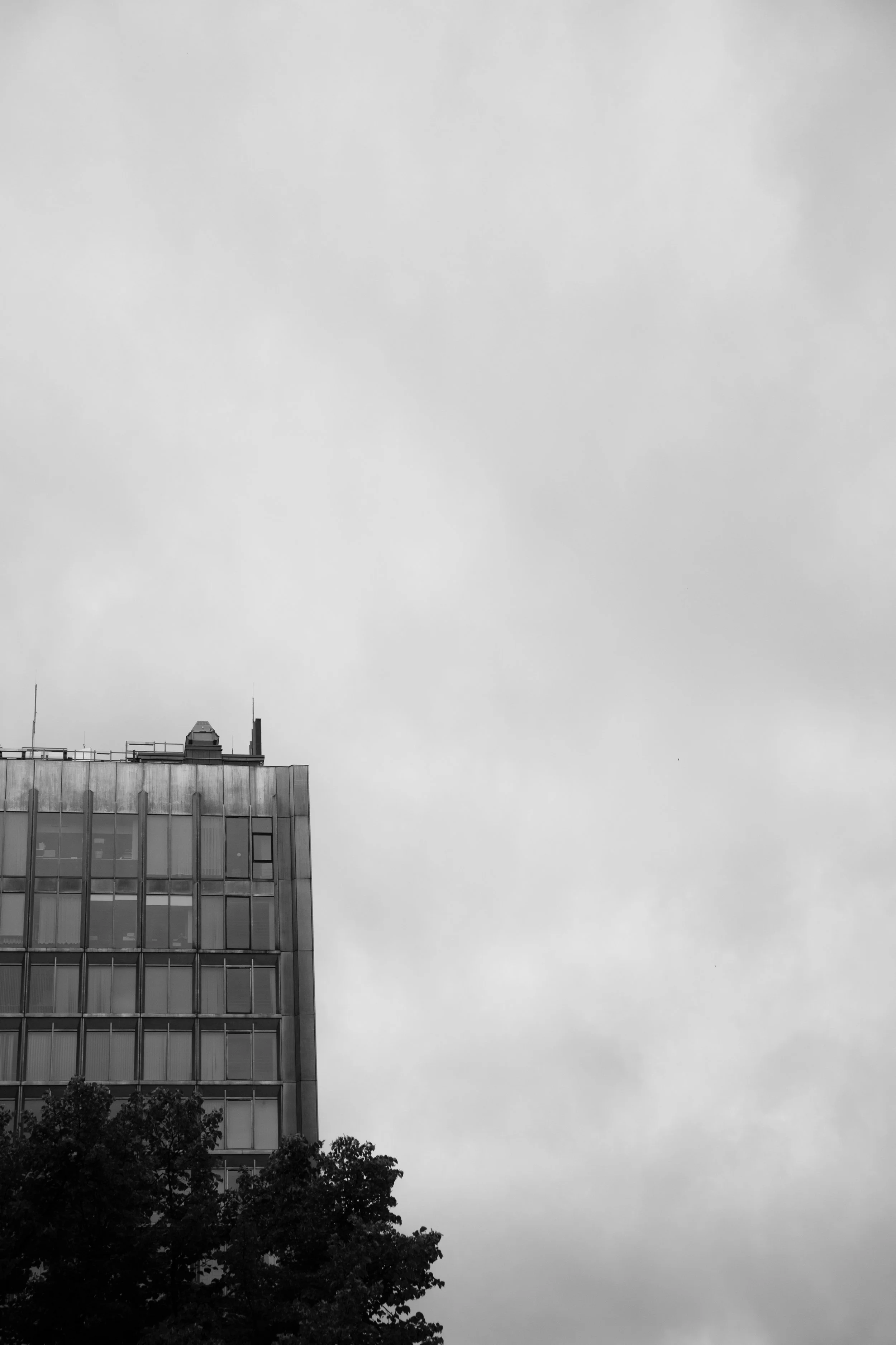 A black and white photo of a tall building with glass windows and trees in the foreground, under a cloudy sky.