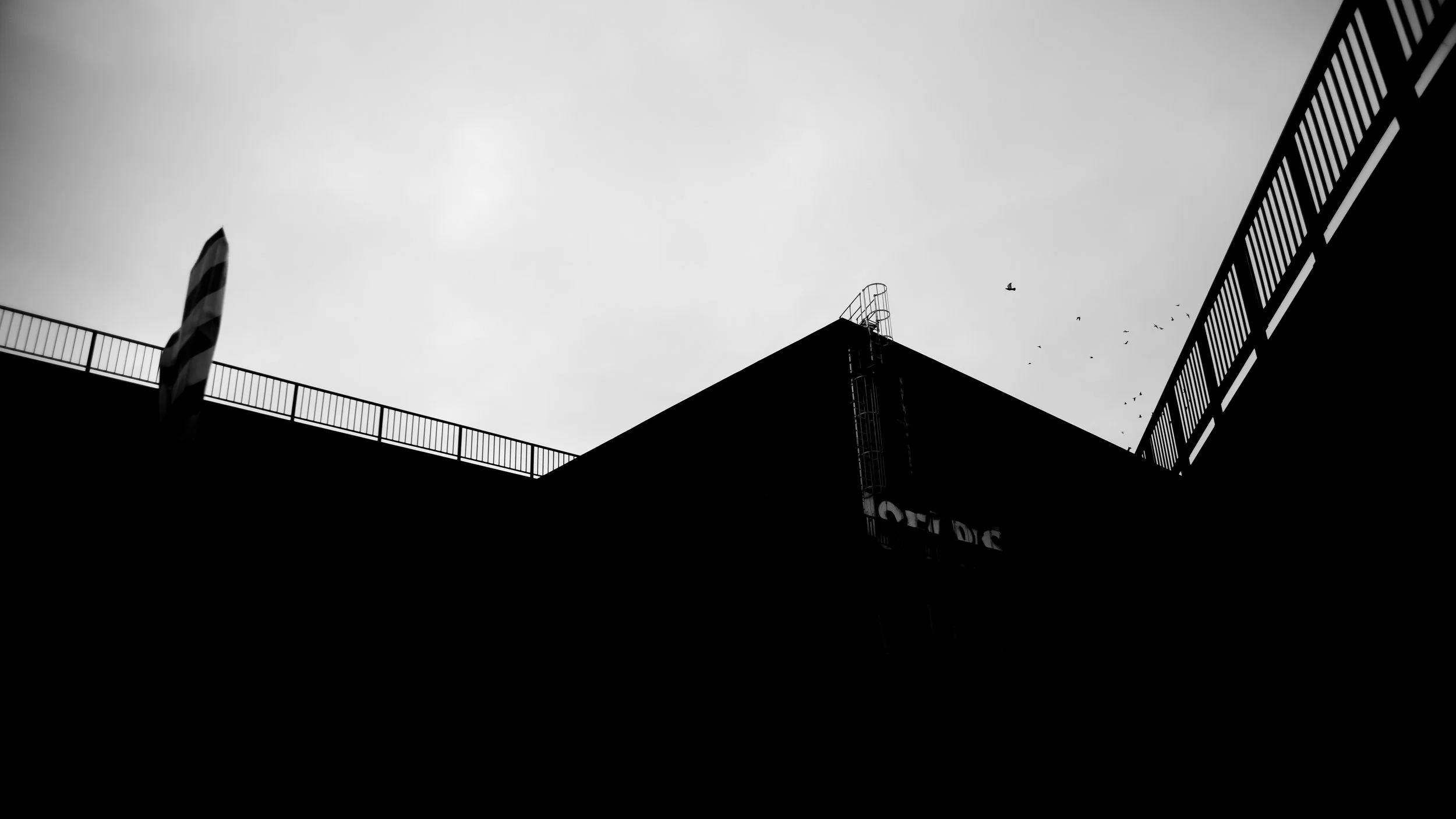 Black and white photo of modern buildings with railings and a flag, under a cloudy sky with birds flying.
