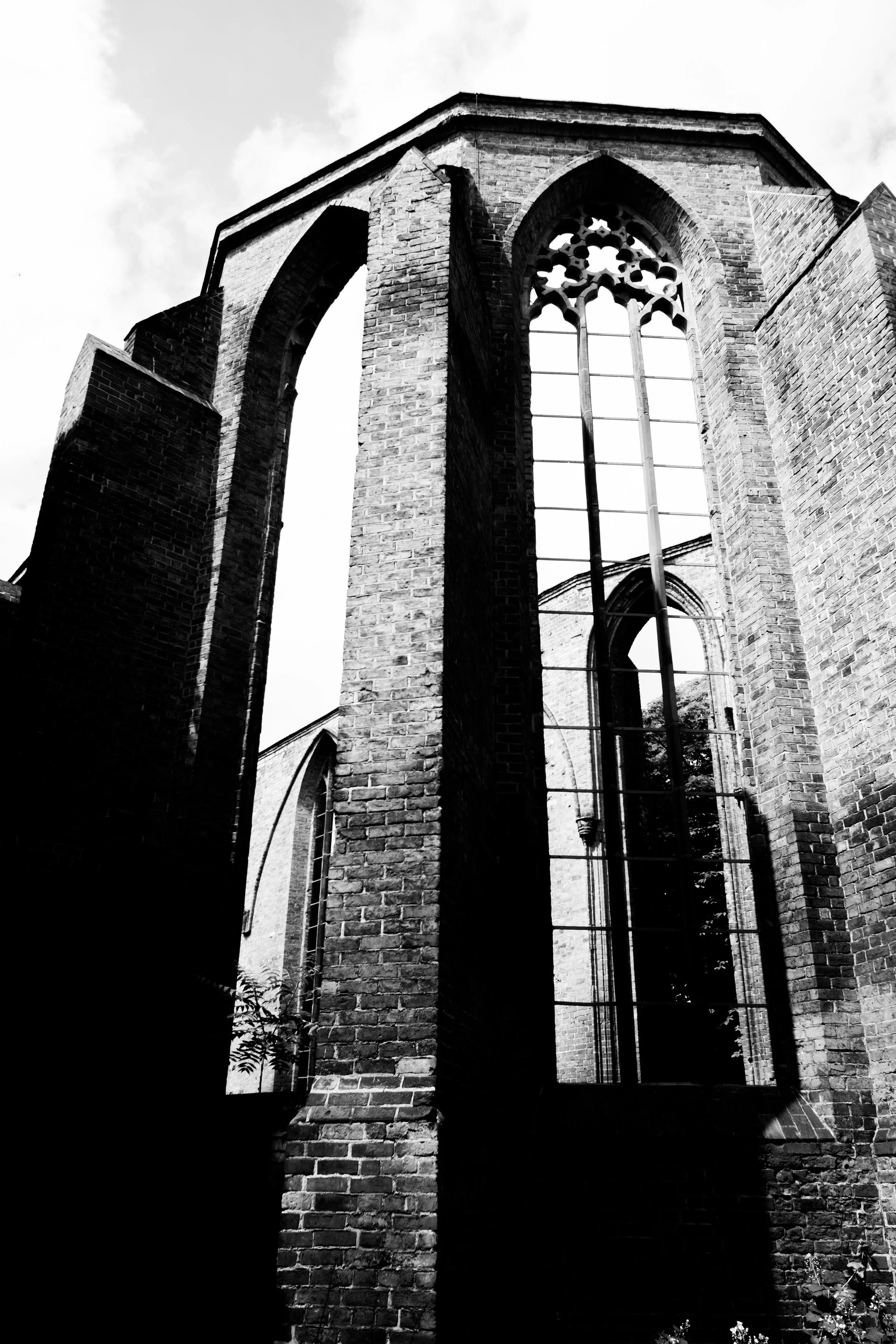 1_01F4454 v2.jpg