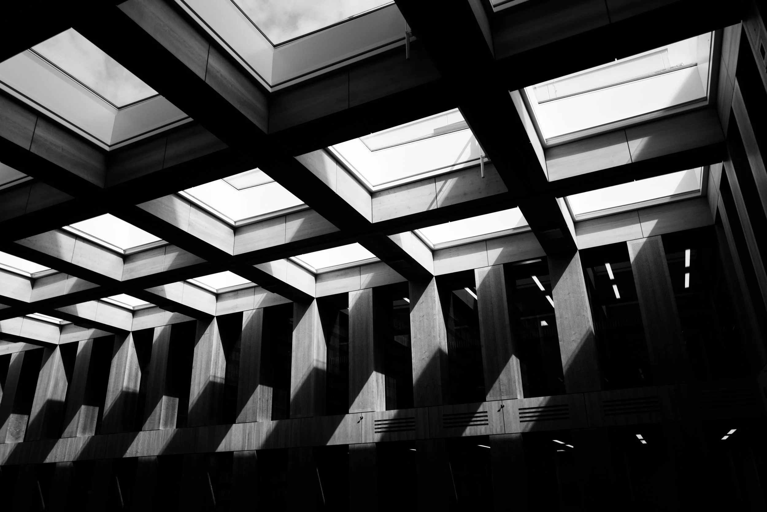 L1011020 v2.jpg