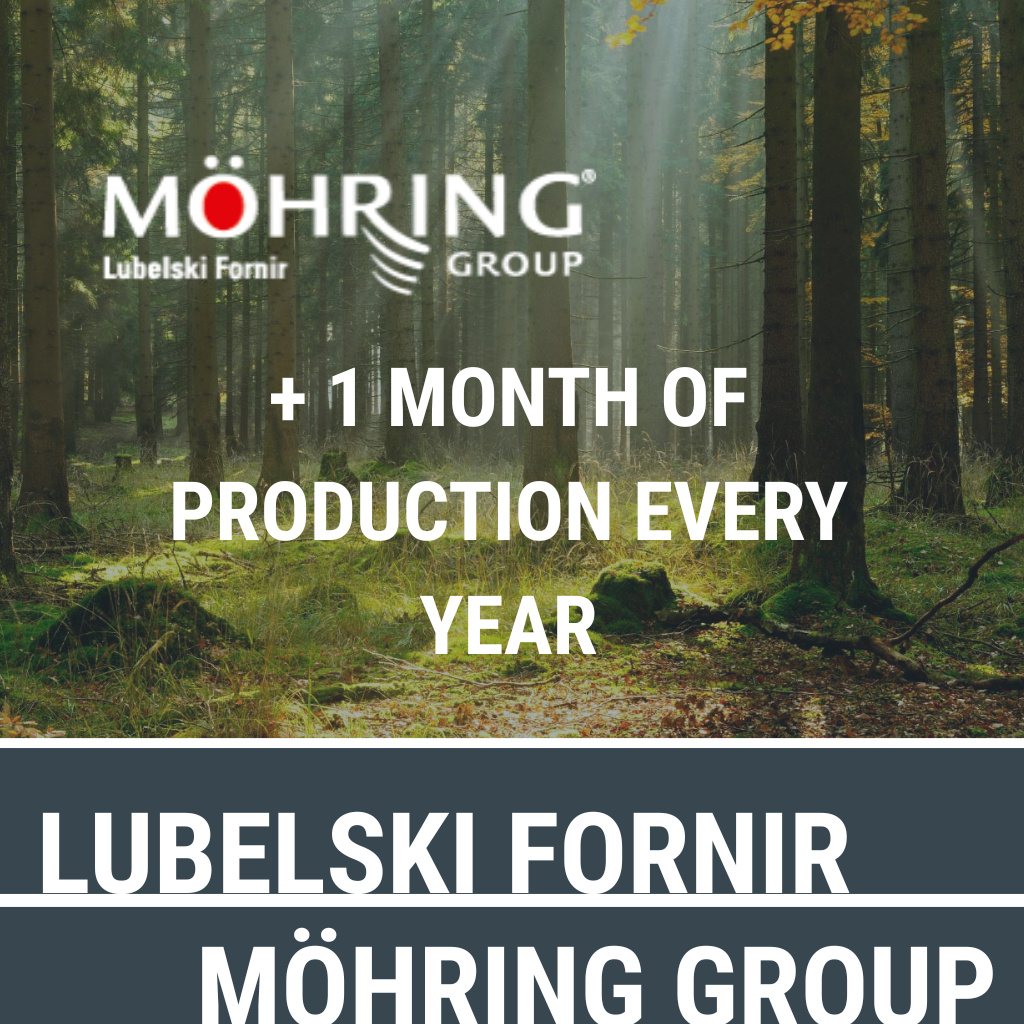 An extra month of production every year: how Lubelski Fornir increased output by 9% in six months