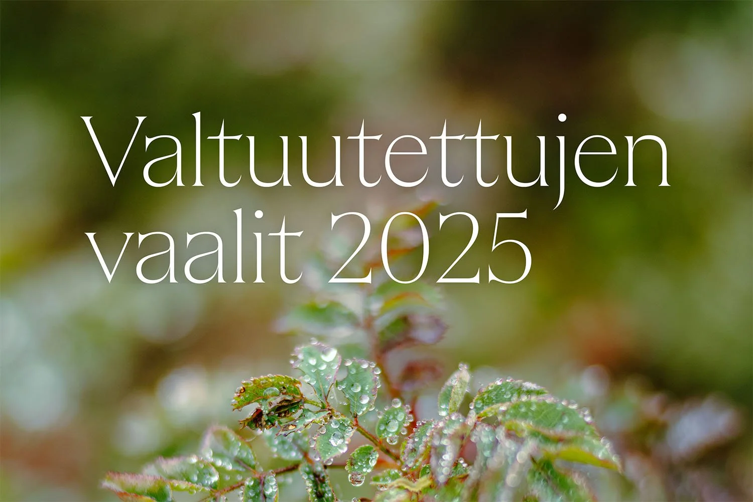 Valtuutettujen vaalit 2025 – katso vaalitiedote