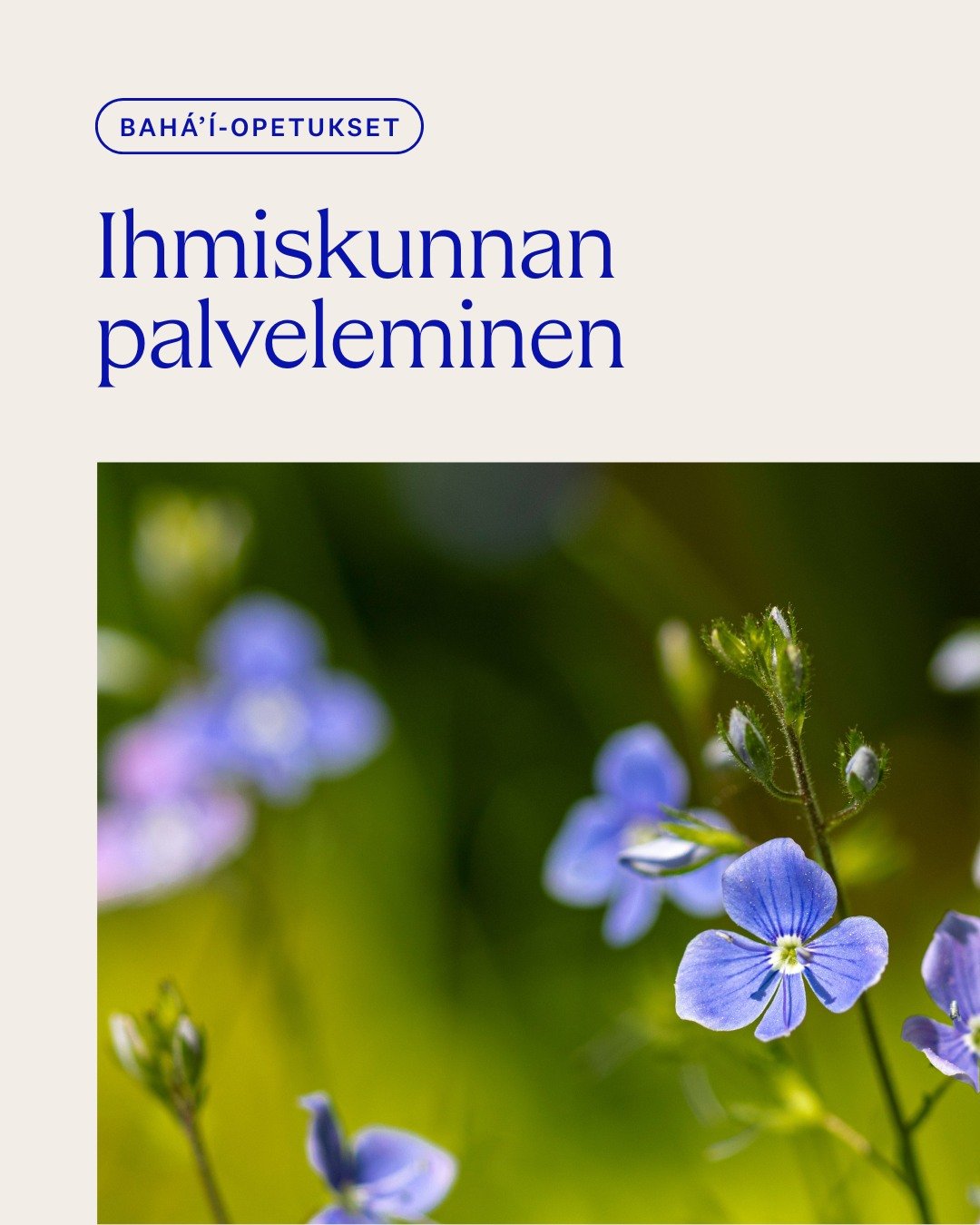 Bah&aacute;&rsquo;&iacute;-uskon mukaan ihmiskunnan palveleminen kytkeytyy el&auml;m&auml;n tarkoitukseen. Palvelu kehitt&auml;&auml; sielua, edist&auml;&auml; oikeudenmukaisuutta ja rakentaa ihmiskunnan ykseytt&auml; omasta perheest&auml; alkaen. 


