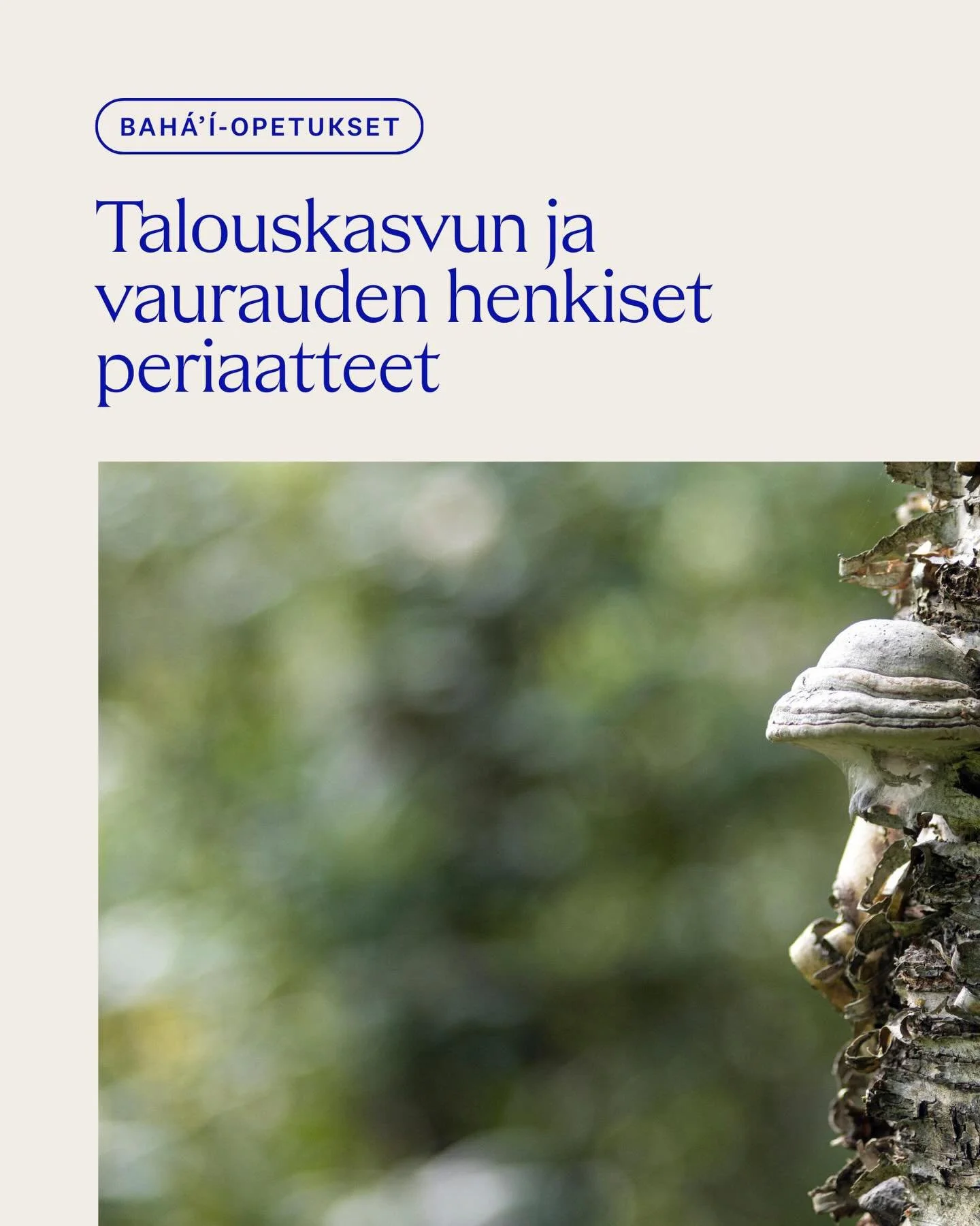 Nykyiset talousj&auml;rjestelm&auml;t ovat tuottaneet ennenn&auml;kem&auml;t&ouml;nt&auml; vaurautta, mutta my&ouml;s syvent&auml;neet k&ouml;yhyytt&auml;, ep&auml;tasa-arvoa ja ekologista kriisi&auml;. Bah&aacute;&rsquo;&iacute;-uskon opetukset tarj