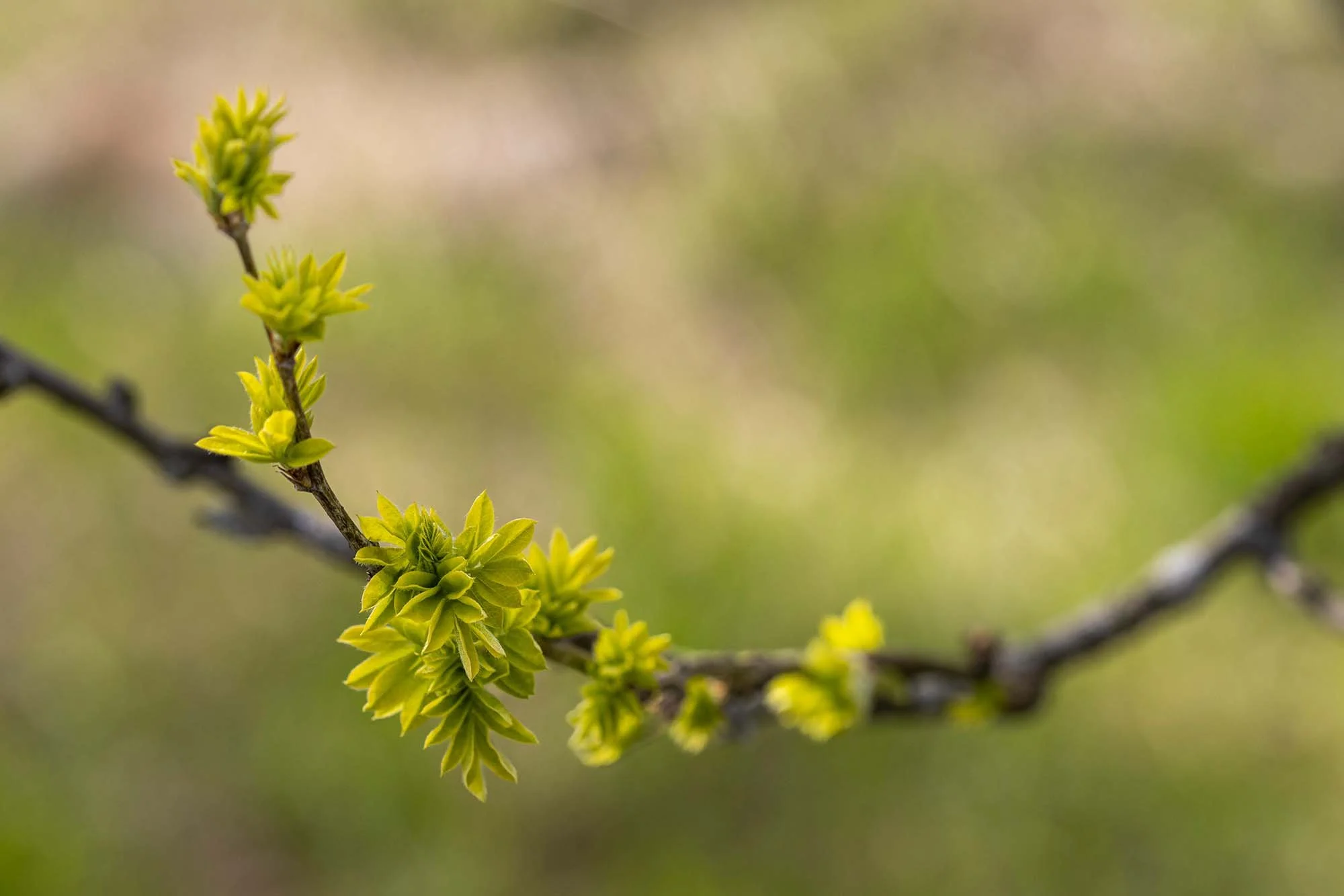 Tule mukaan kirjojen 8 ja 9 opintopiireille / Welcome to study Books 8 and 9