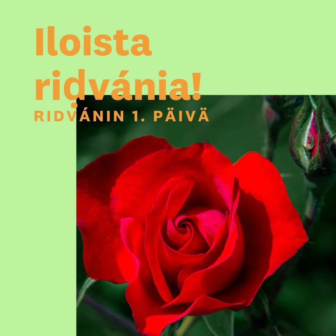 🌹 Riḍv&aacute;nin 1. p&auml;iv&auml; 🌹 Riḍv&aacute;n on bah&aacute;&rsquo;&iacute;-kalenterin yksi merkitt&auml;vimmist&auml; ja iloisimmmista juhlista. Se kest&auml;&auml; 12 p&auml;iv&auml;&auml; ja sis&auml;lt&auml;&auml; kolme pyh&auml;p&auml;i
