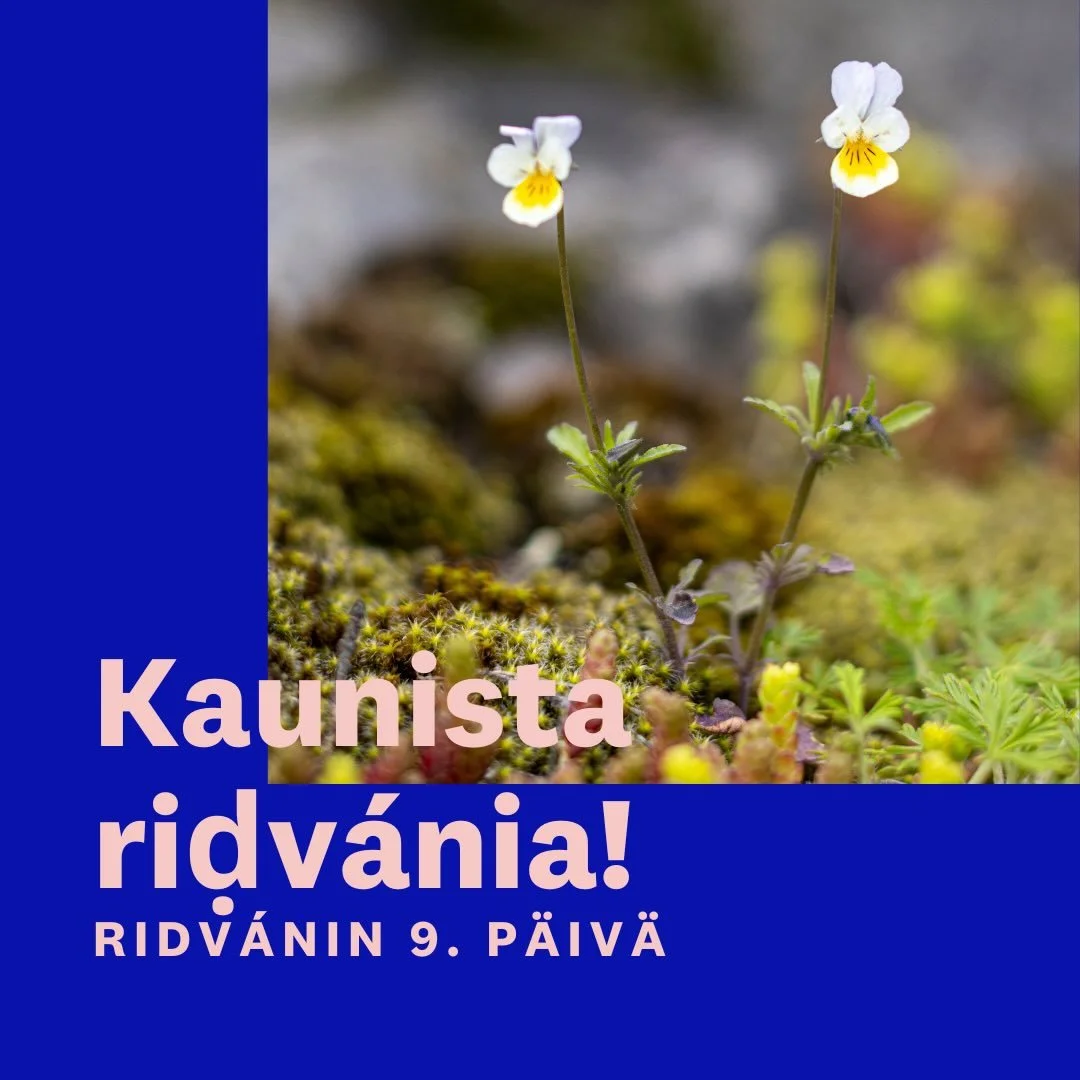 🌹 Riḍv&aacute;nin 9. p&auml;iv&auml; 🌹 Vuonna 1863 riḍv&aacute;n oli Bah&aacute;&rsquo;u&rsquo;ll&aacute;hin seuraajille aikaa, johon sekoittuivat ilo ja haikeus. Kymmenen vuotta aiemmin Bah&aacute;&rsquo;u&rsquo;ll&aacute;h oli karkotettu Persiast