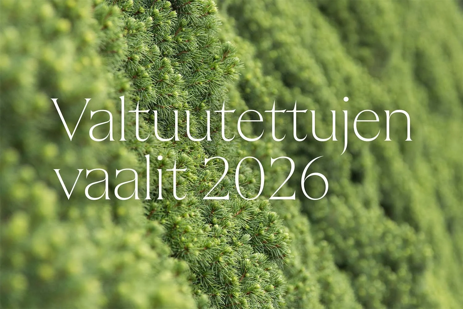 Valtuutettujen vaalit 2026 – katso vaalitiedote
