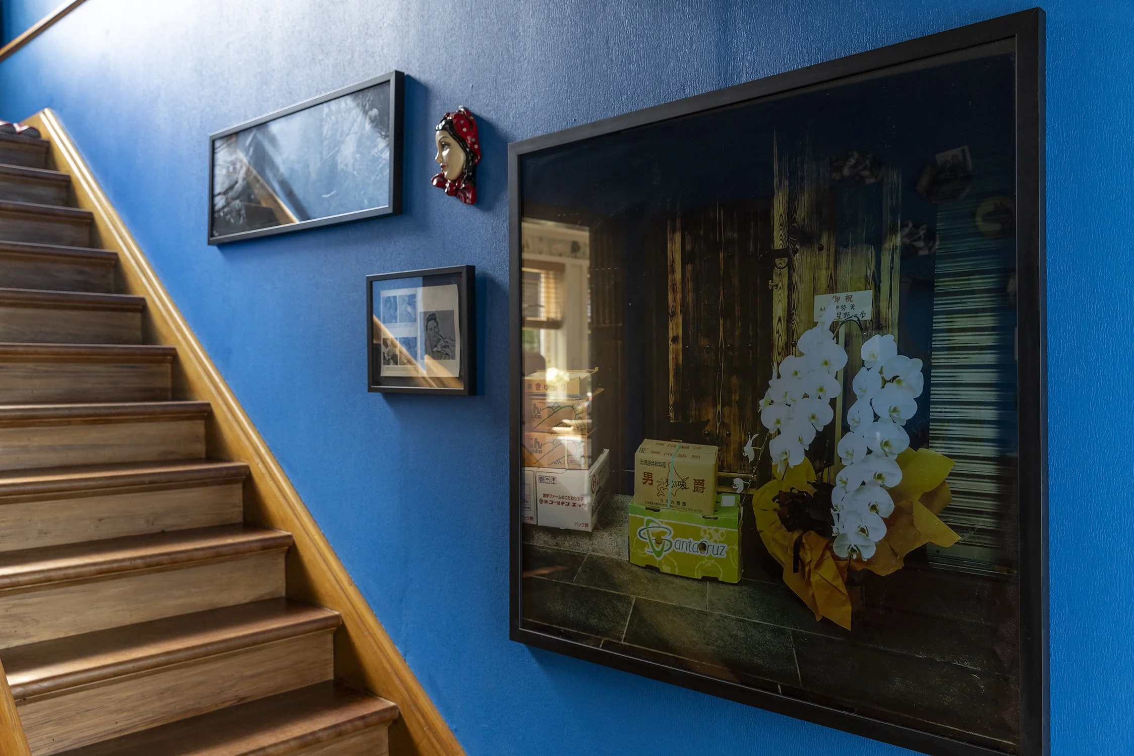 House and Garden Magazine - Interior Design Photography - Dunedin