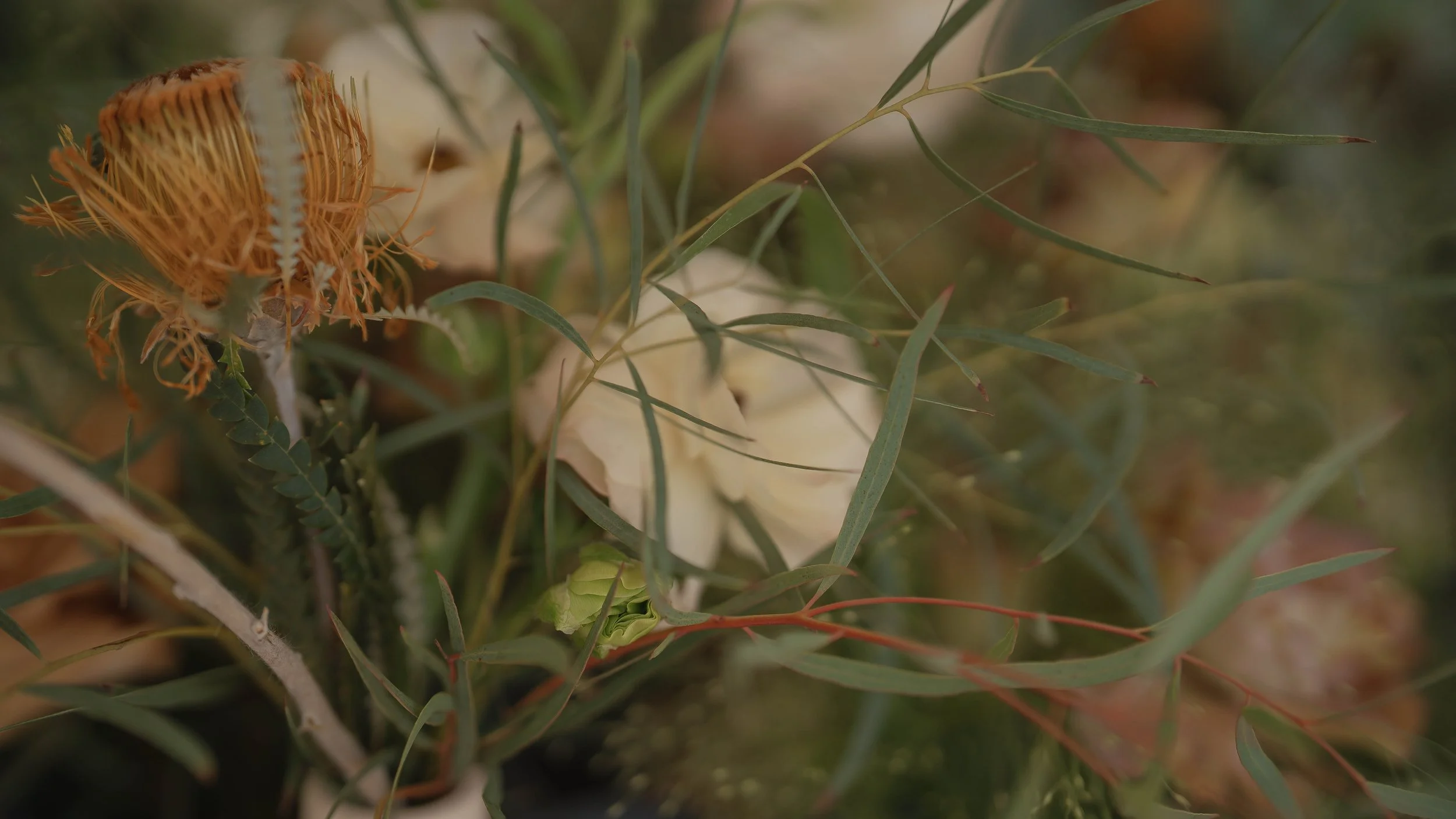 Close-up of various flowers and green leaves, including a yellowish-orange flower with thin petals and a white flower surrounded by greenery.