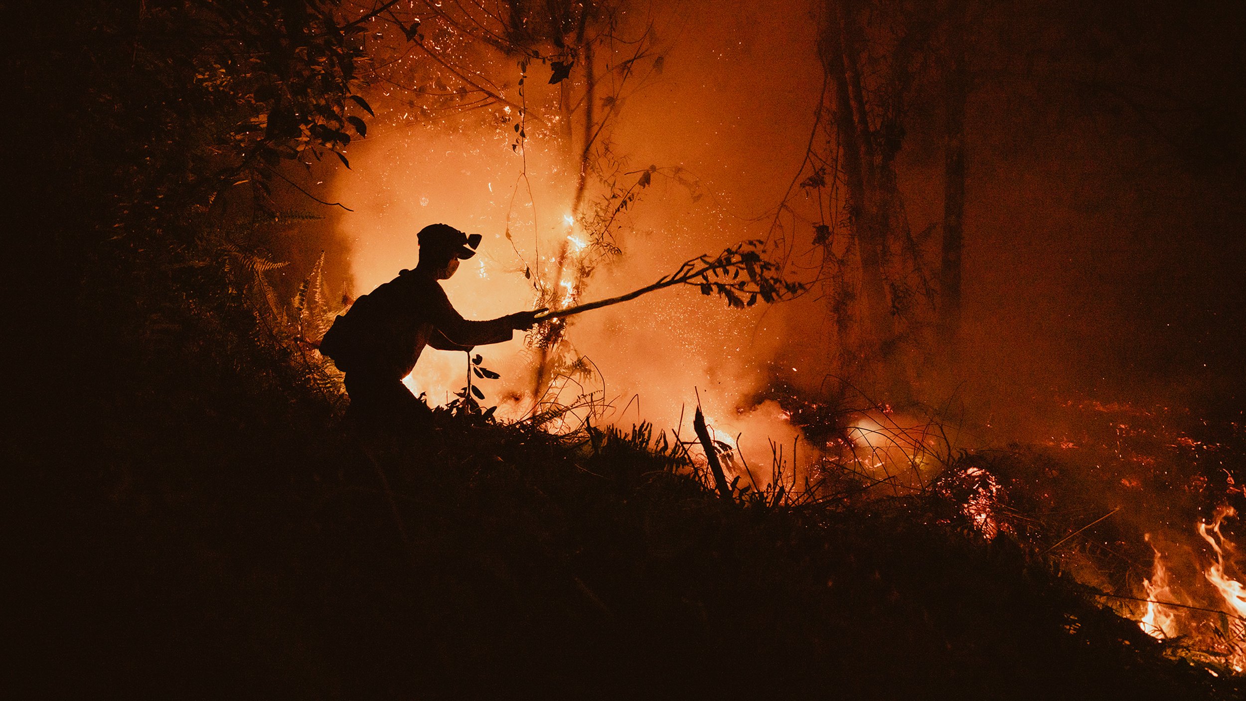 Fire Borneo.jpg