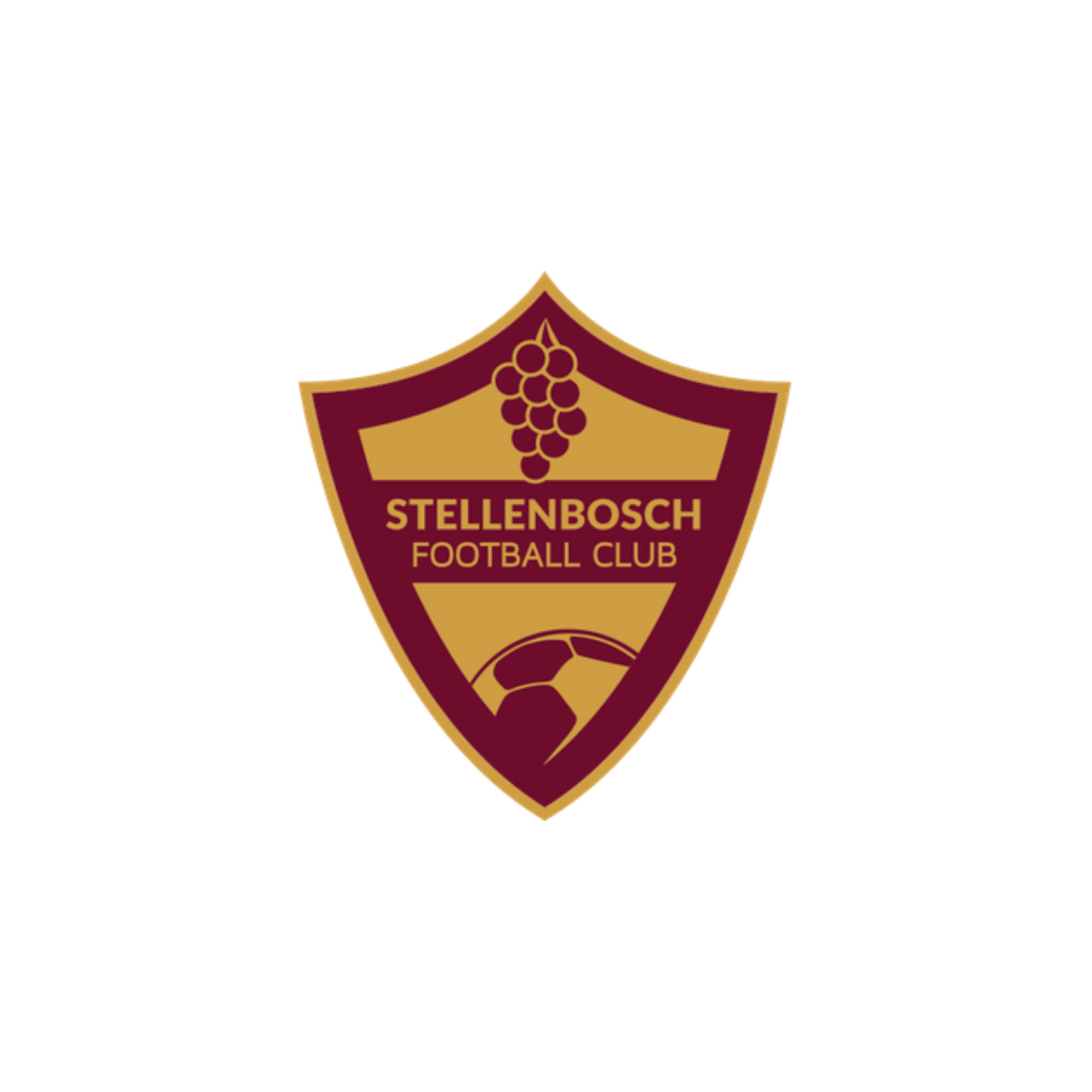 SFC Website logo.png