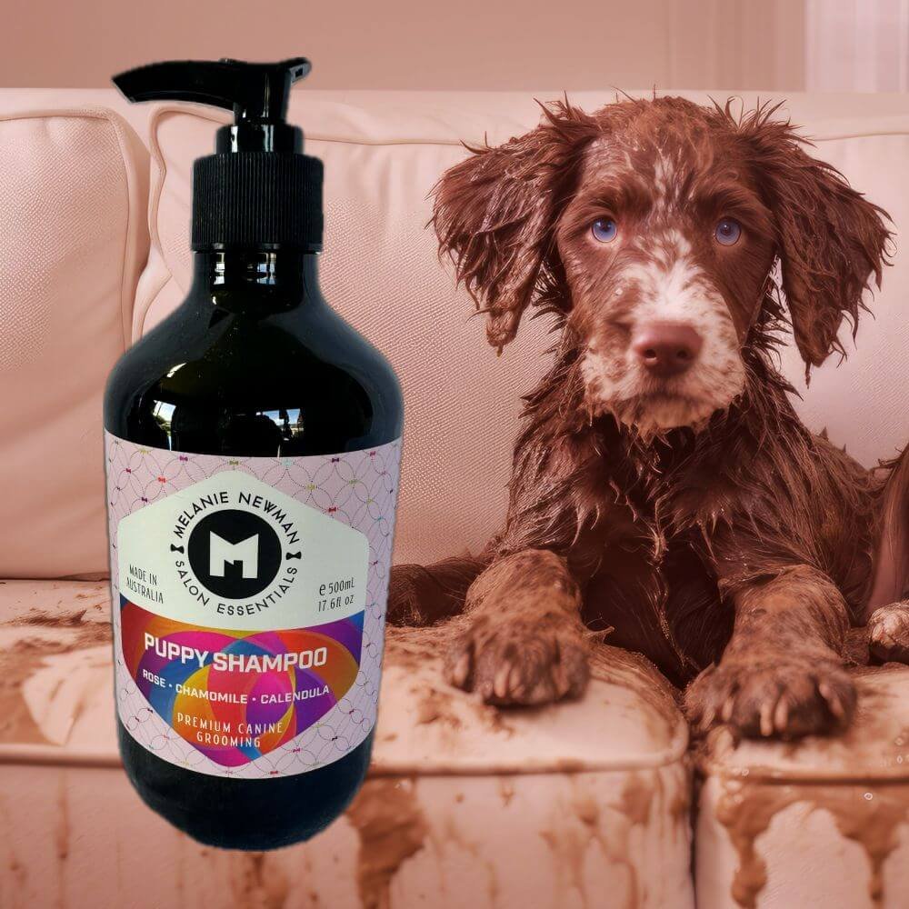 Melanie Newman - Puppy Shampoo.jpg