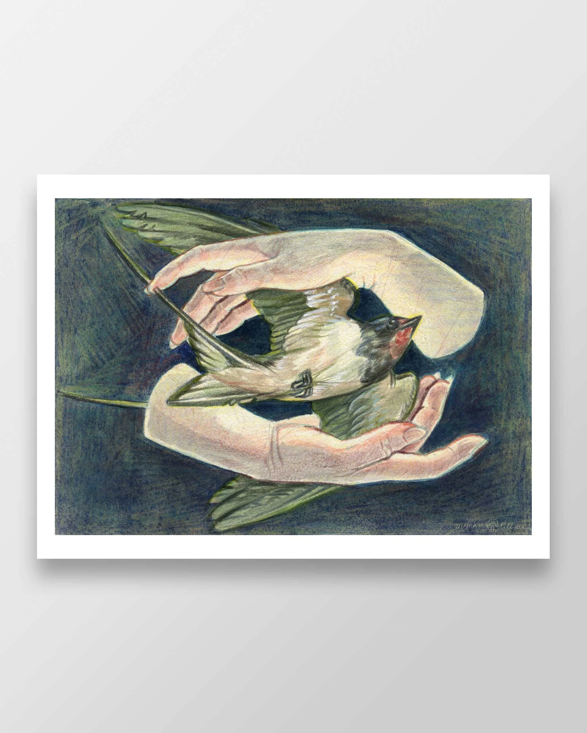 WIND-CATCHER ◇ Fine Art Prints — Myriam Tillson