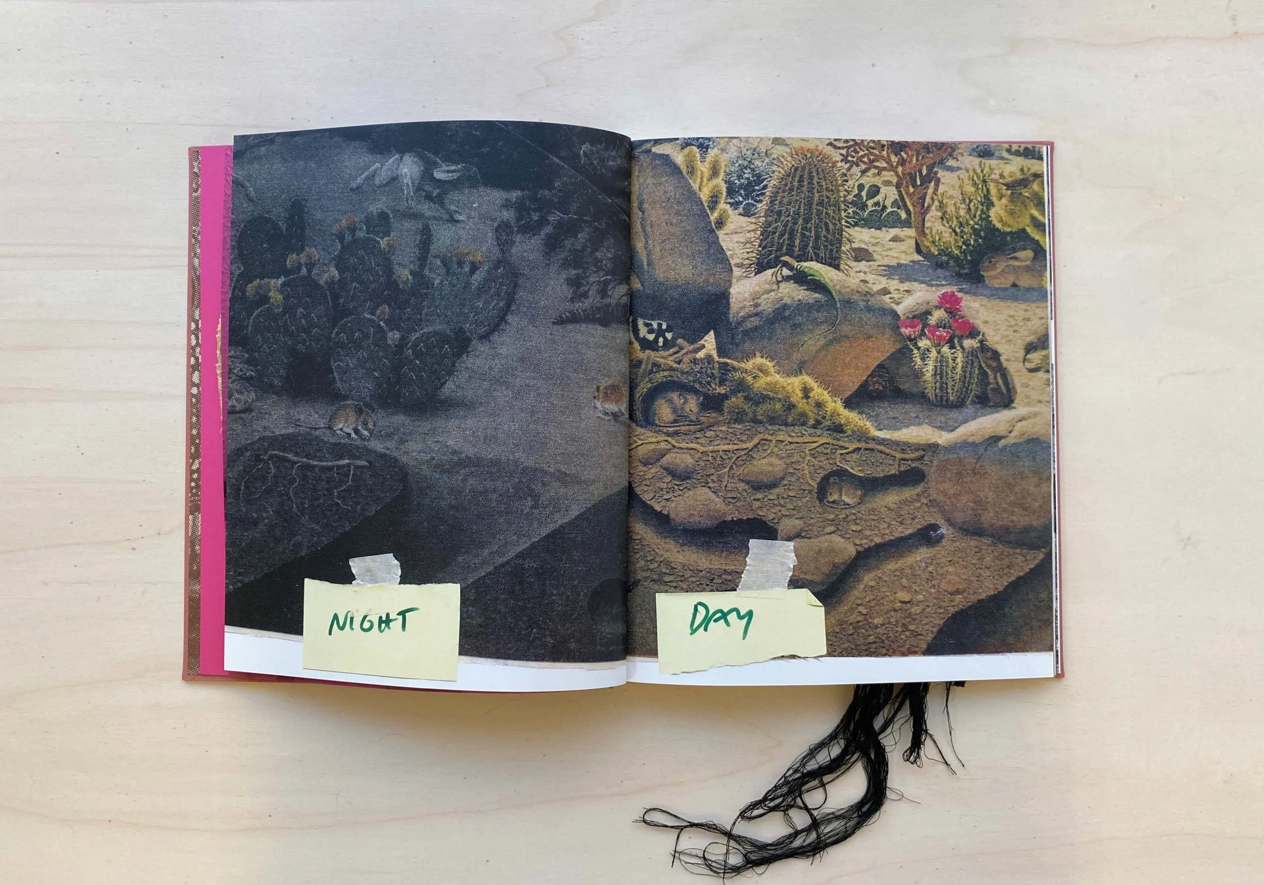 AW21 BOOK PDF_Página_04.jpg