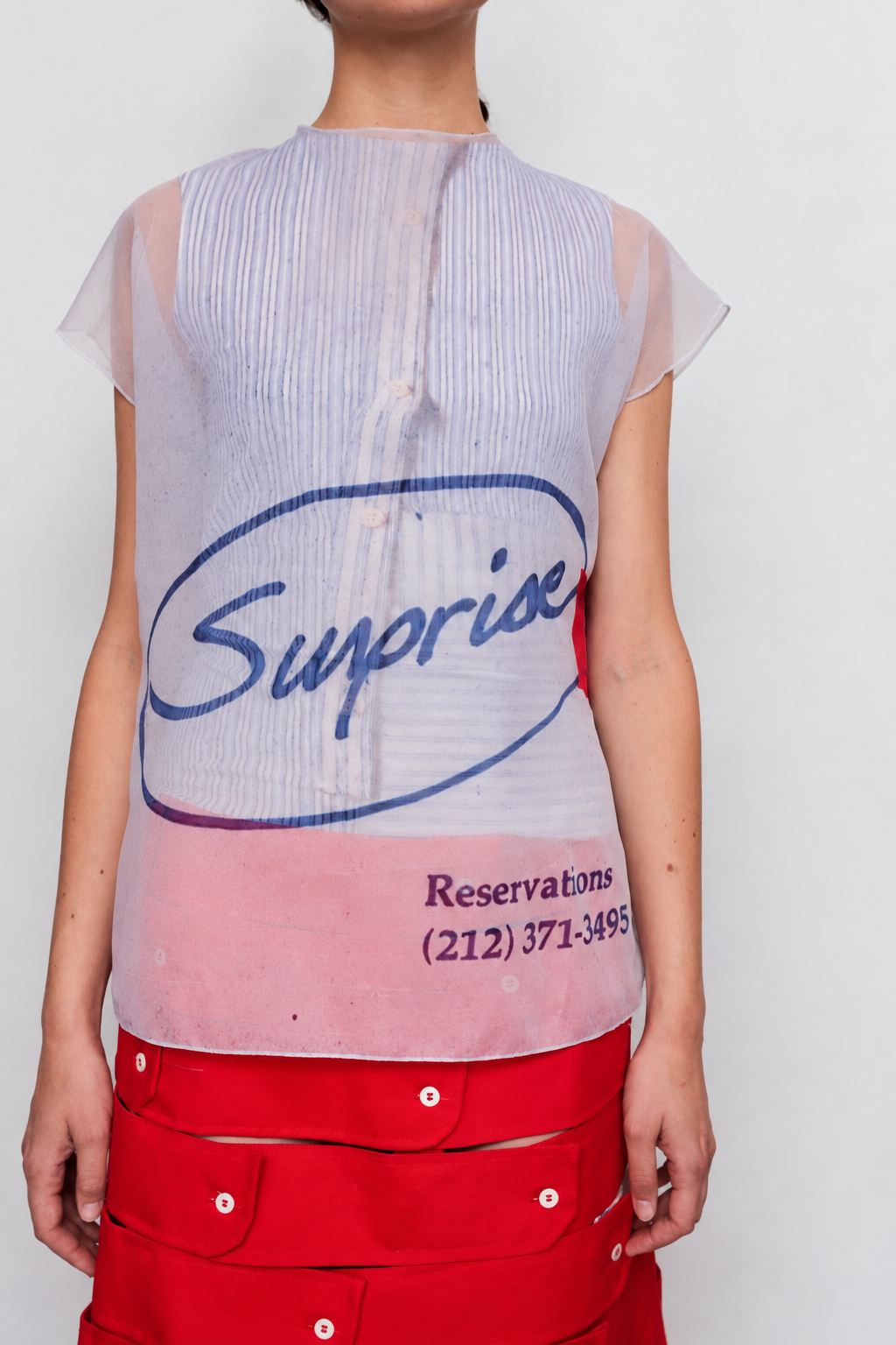 Blusa Transparente com Saia Vermelha em Estúdio.png