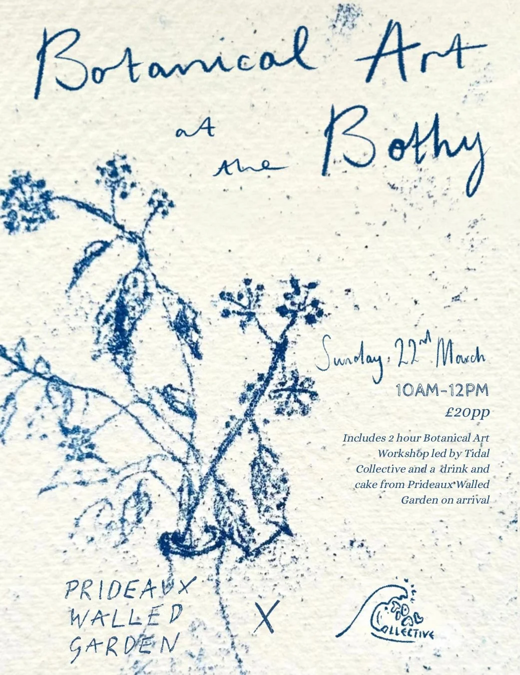 Botanical Drawing Workshop