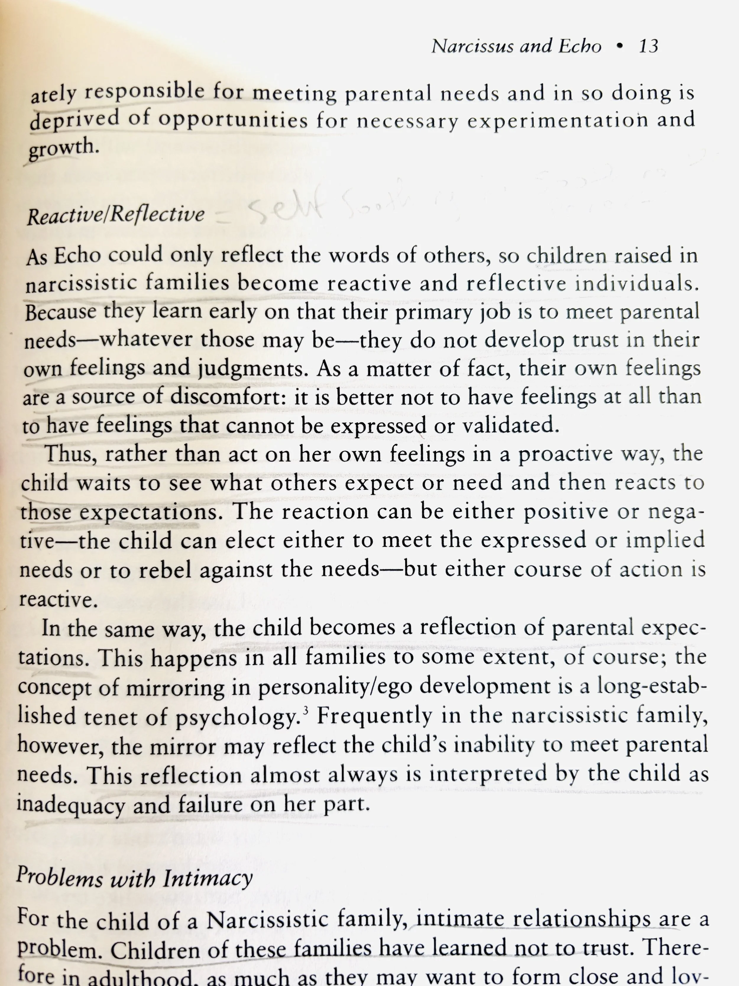 narcissistic families and children and couples therapy
