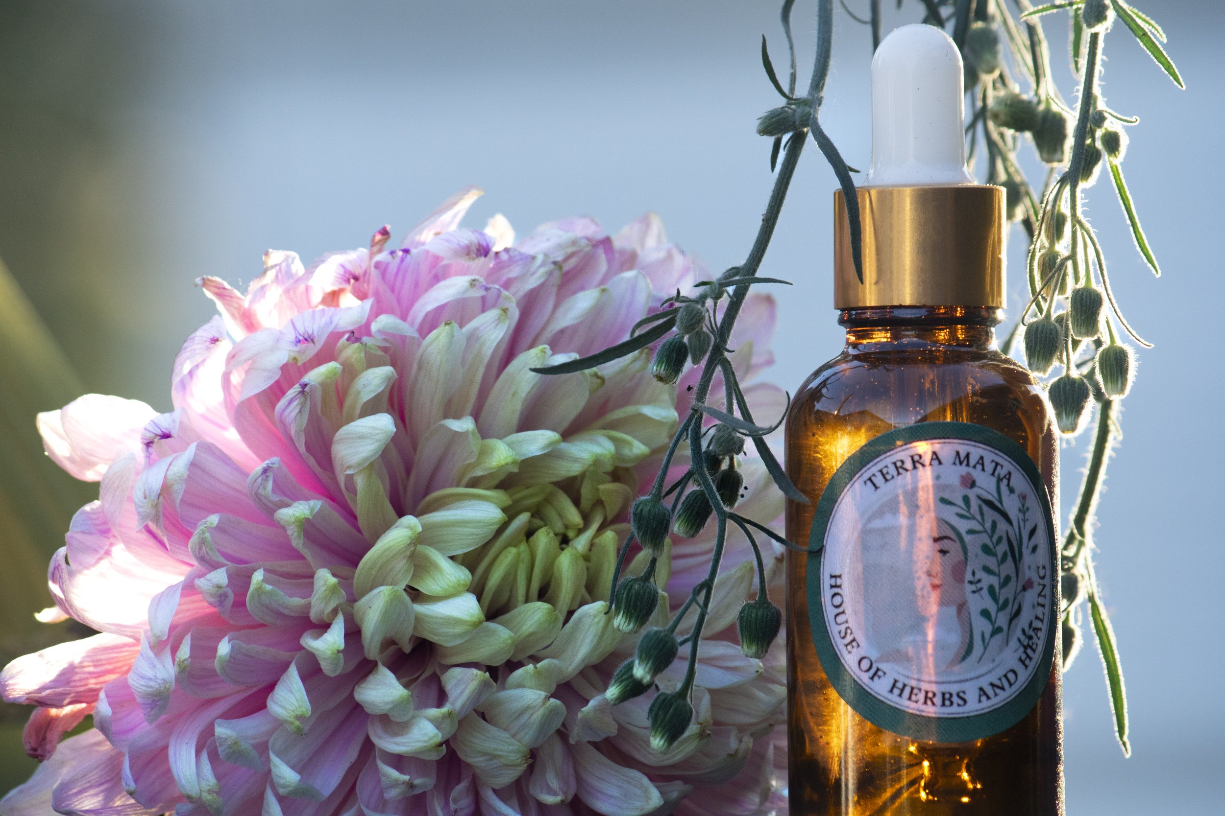 Hair Growth Serum 50mL