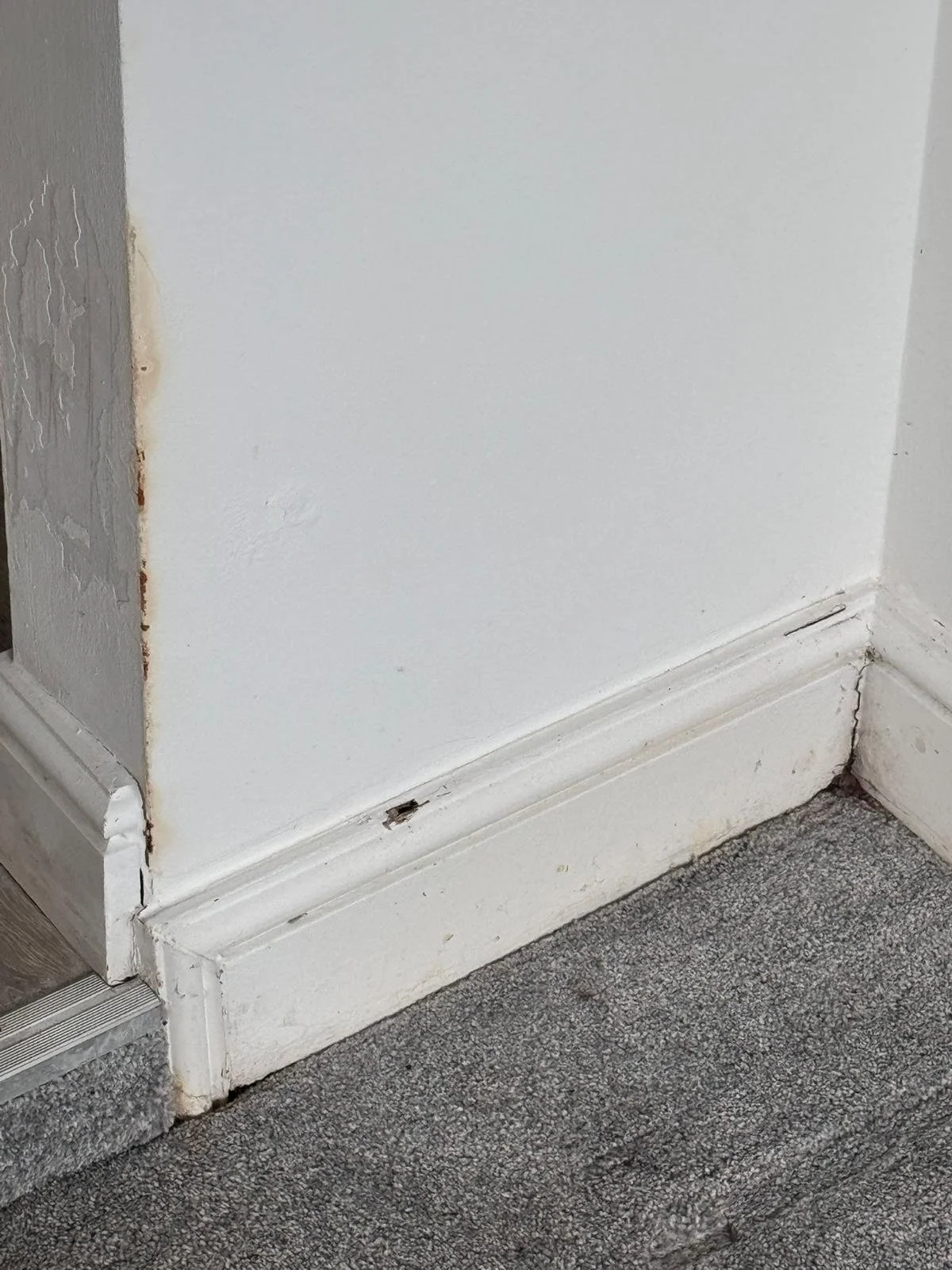 WhatsApp Image 2024-11-18 at 12.49.46 PM (1).jpeg