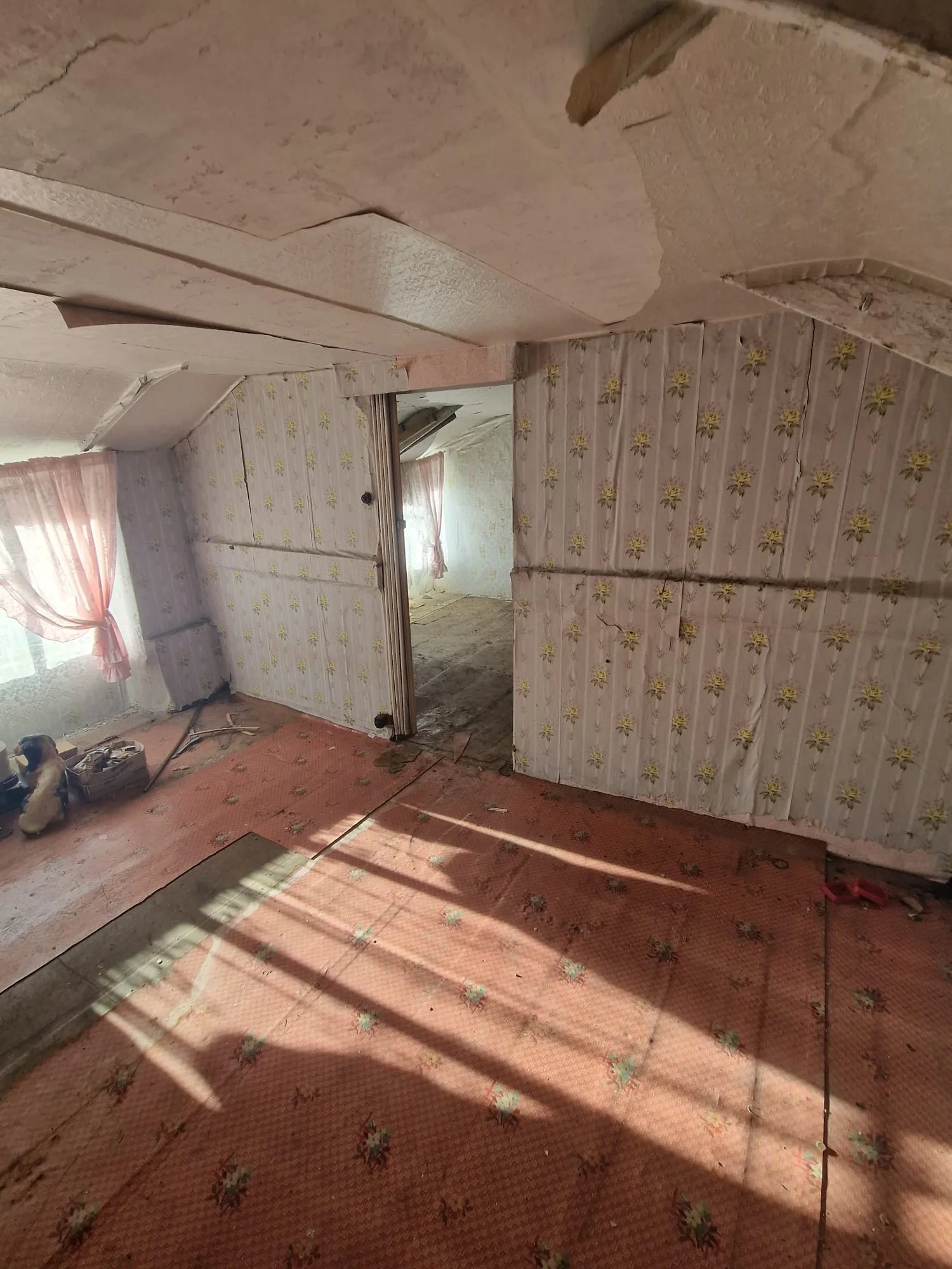 WhatsApp Image 2025-01-06 at 13.47.16 (3).jpeg