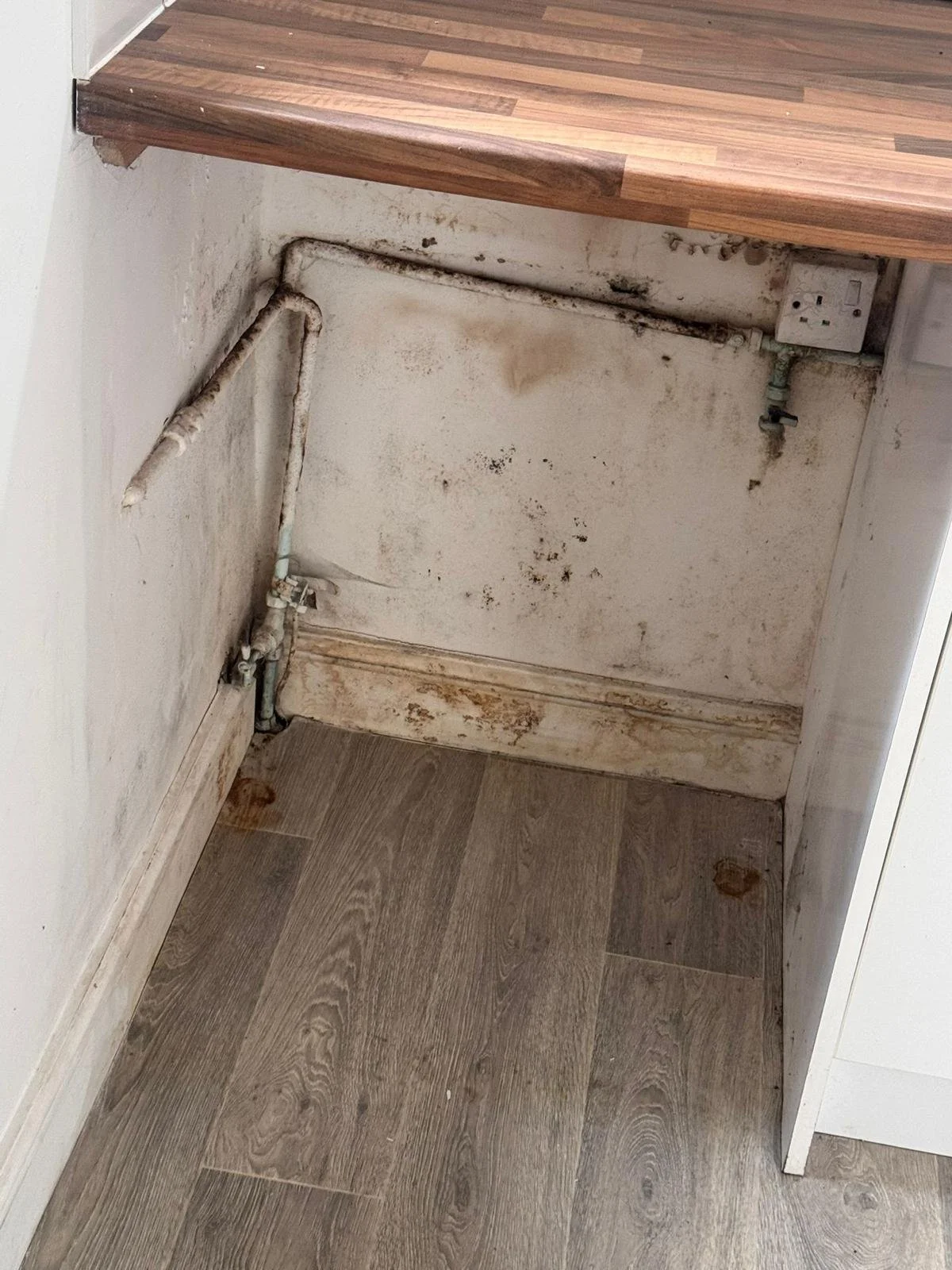 WhatsApp Image 2024-11-18 at 12.49.47 PM (1).jpeg