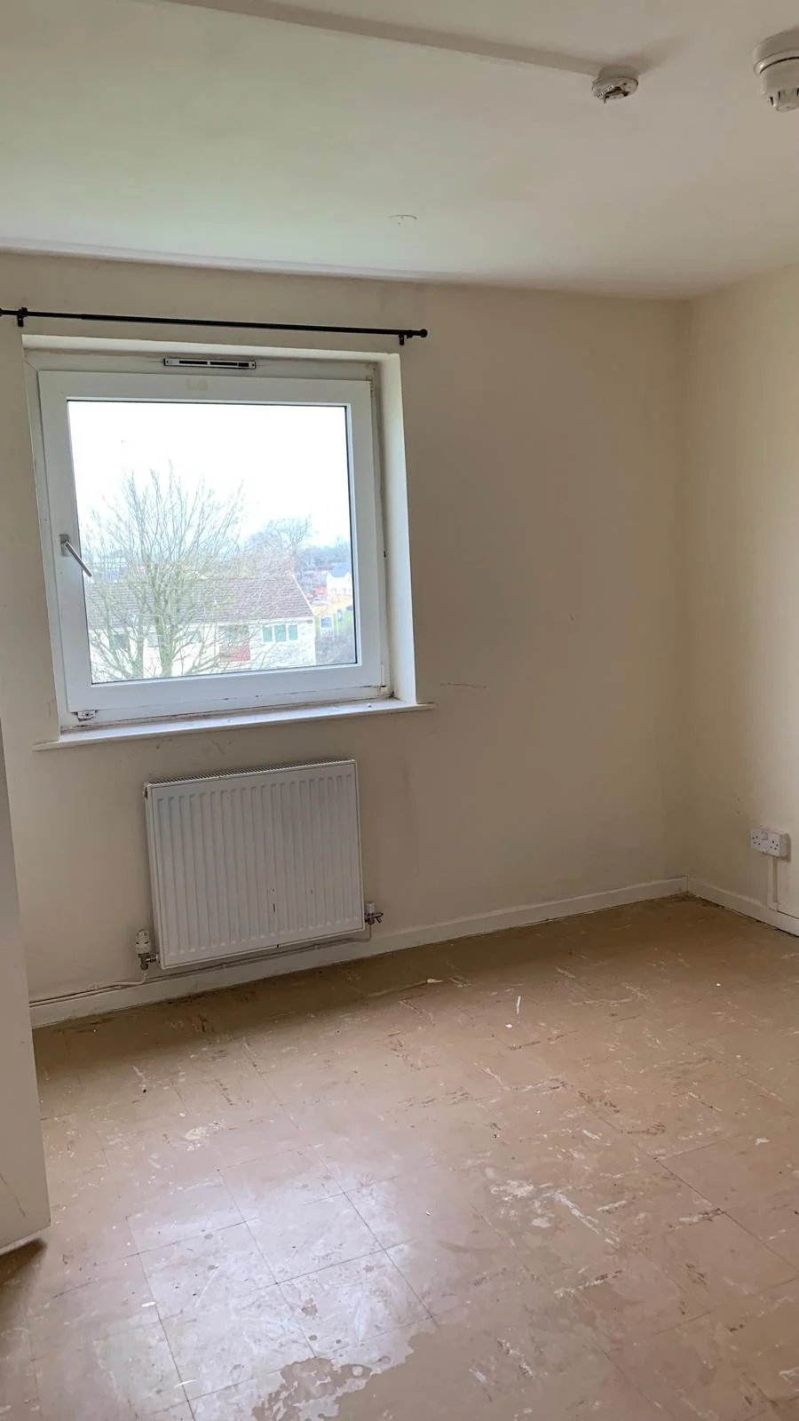 WhatsApp Image 2025-01-22 at 11.55.44 (13).jpeg