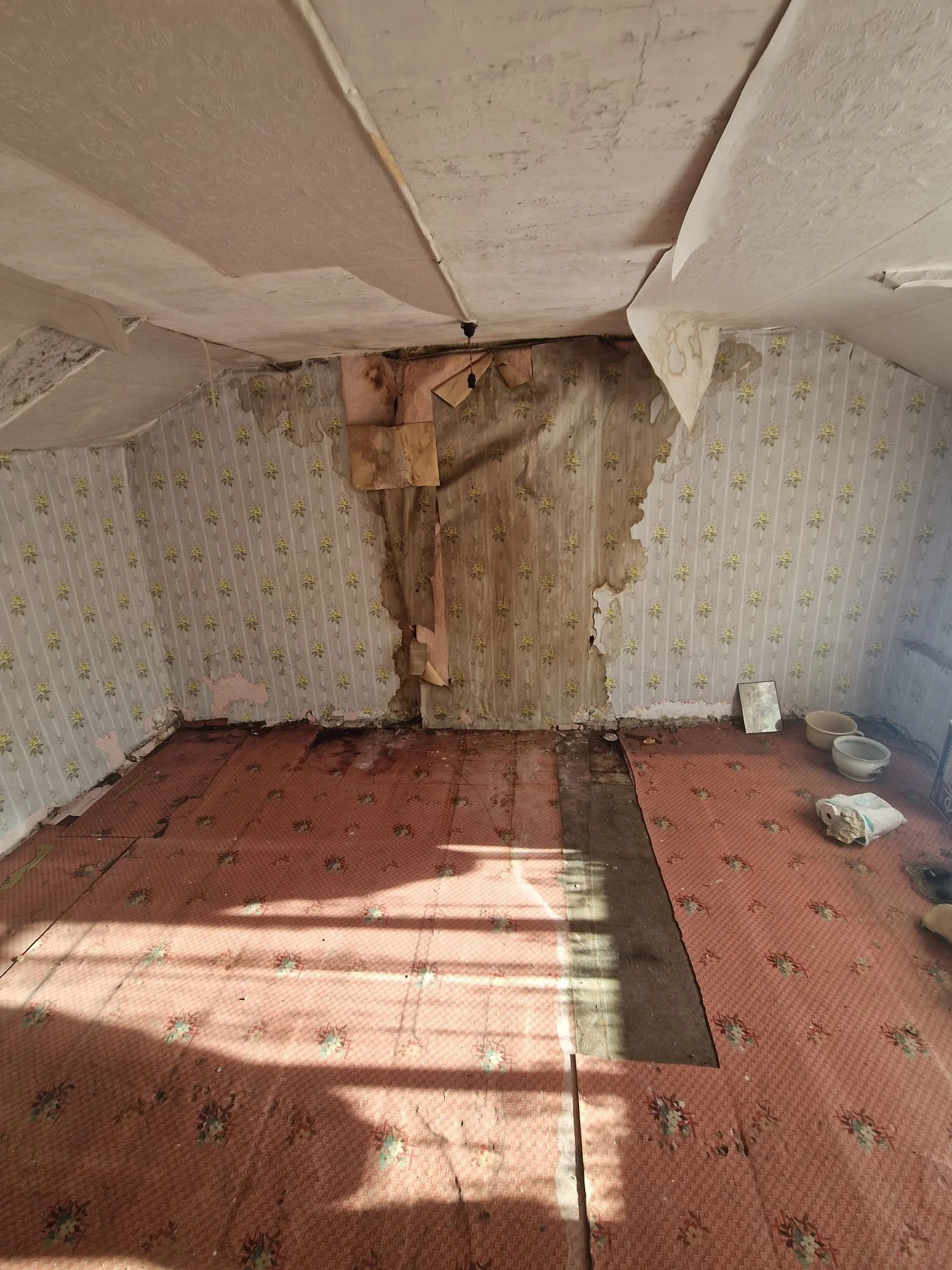 WhatsApp Image 2025-01-06 at 13.47.18.jpeg