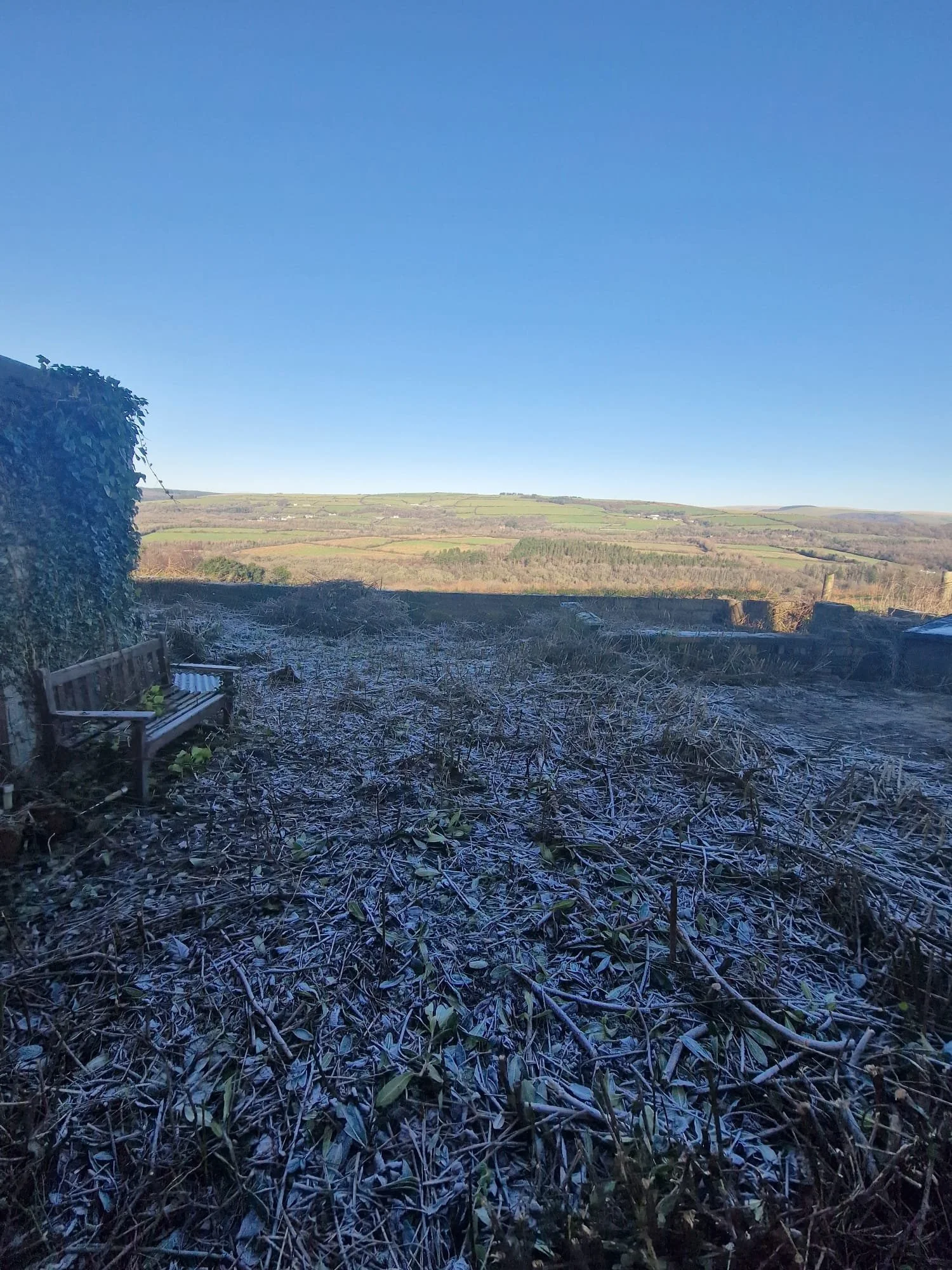 WhatsApp Image 2025-01-06 at 13.47.15.jpeg